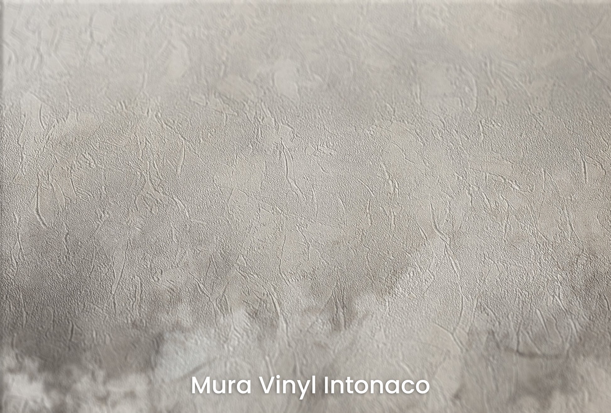 Zbliżenie na artystyczną fototapetę o nazwie MONOCHROME MISTIQUE na podłożu Mura Vinyl Intonaco - struktura tartego tynku.