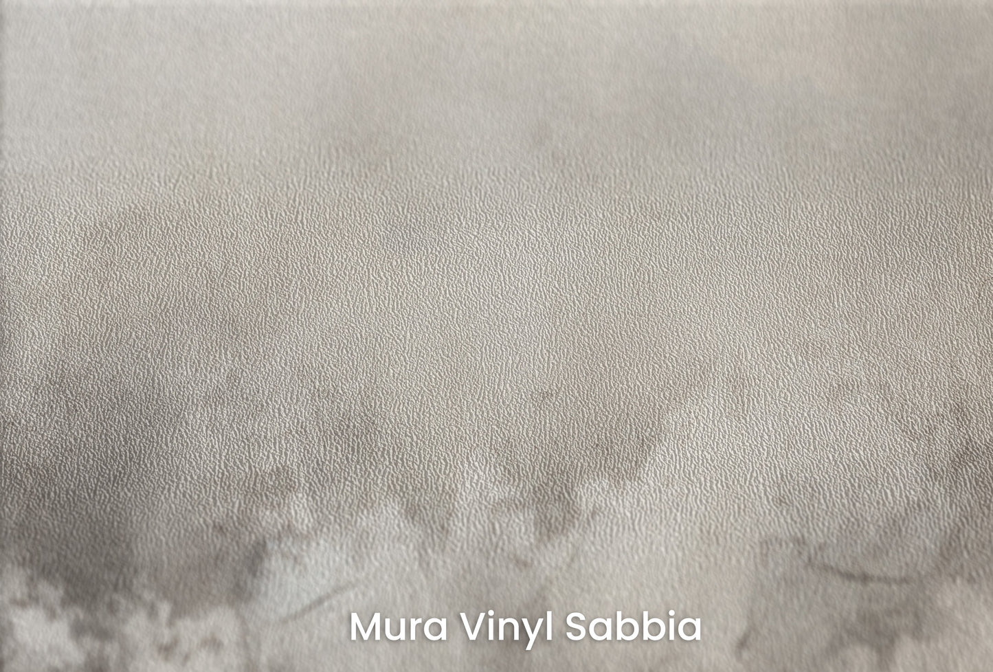 Zbliżenie na artystyczną fototapetę o nazwie MONOCHROME MISTIQUE na podłożu Mura Vinyl Sabbia struktura grubego ziarna piasku.
