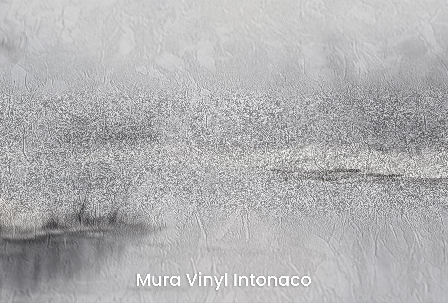 Zbliżenie na artystyczną fototapetę o nazwie Ośnieżone Ciszy na podłożu Mura Vinyl Intonaco - struktura tartego tynku.