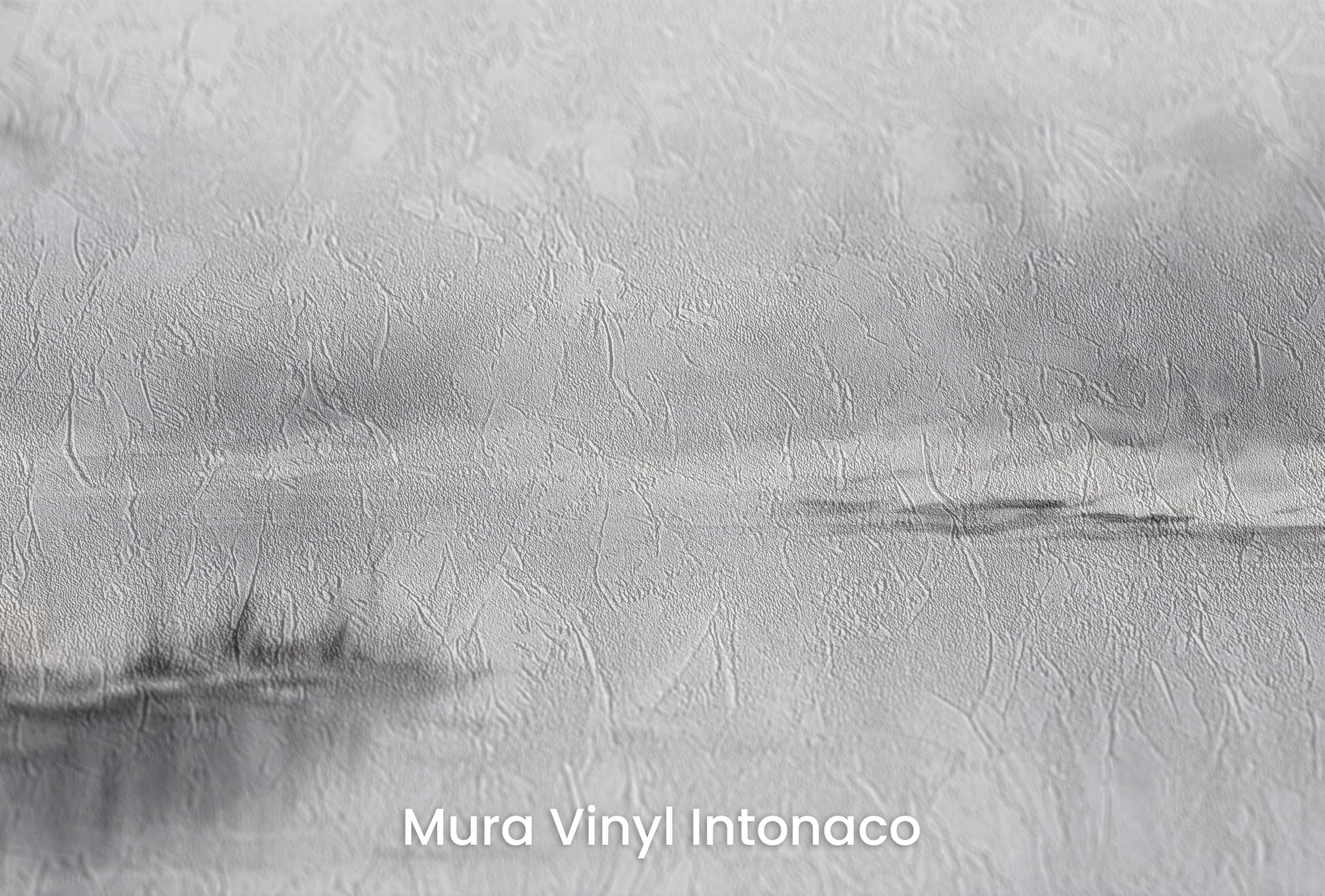 Zbliżenie na artystyczną fototapetę o nazwie Ośnieżone Ciszy na podłożu Mura Vinyl Intonaco - struktura tartego tynku.
