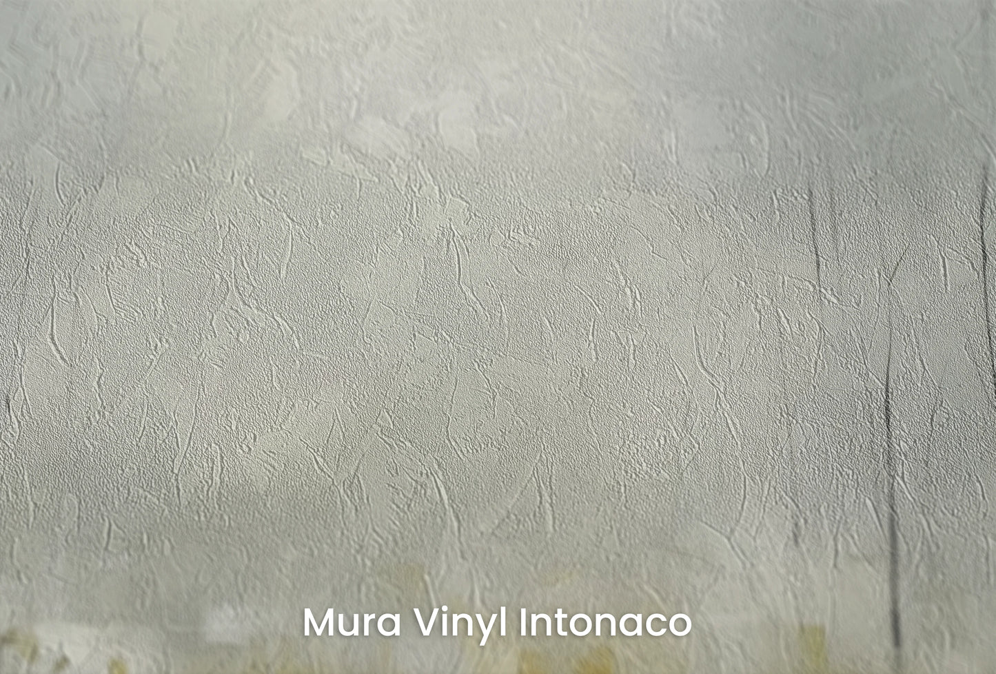 Zbliżenie na artystyczną fototapetę o nazwie Zatopione w Mgle na podłożu Mura Vinyl Intonaco - struktura tartego tynku.