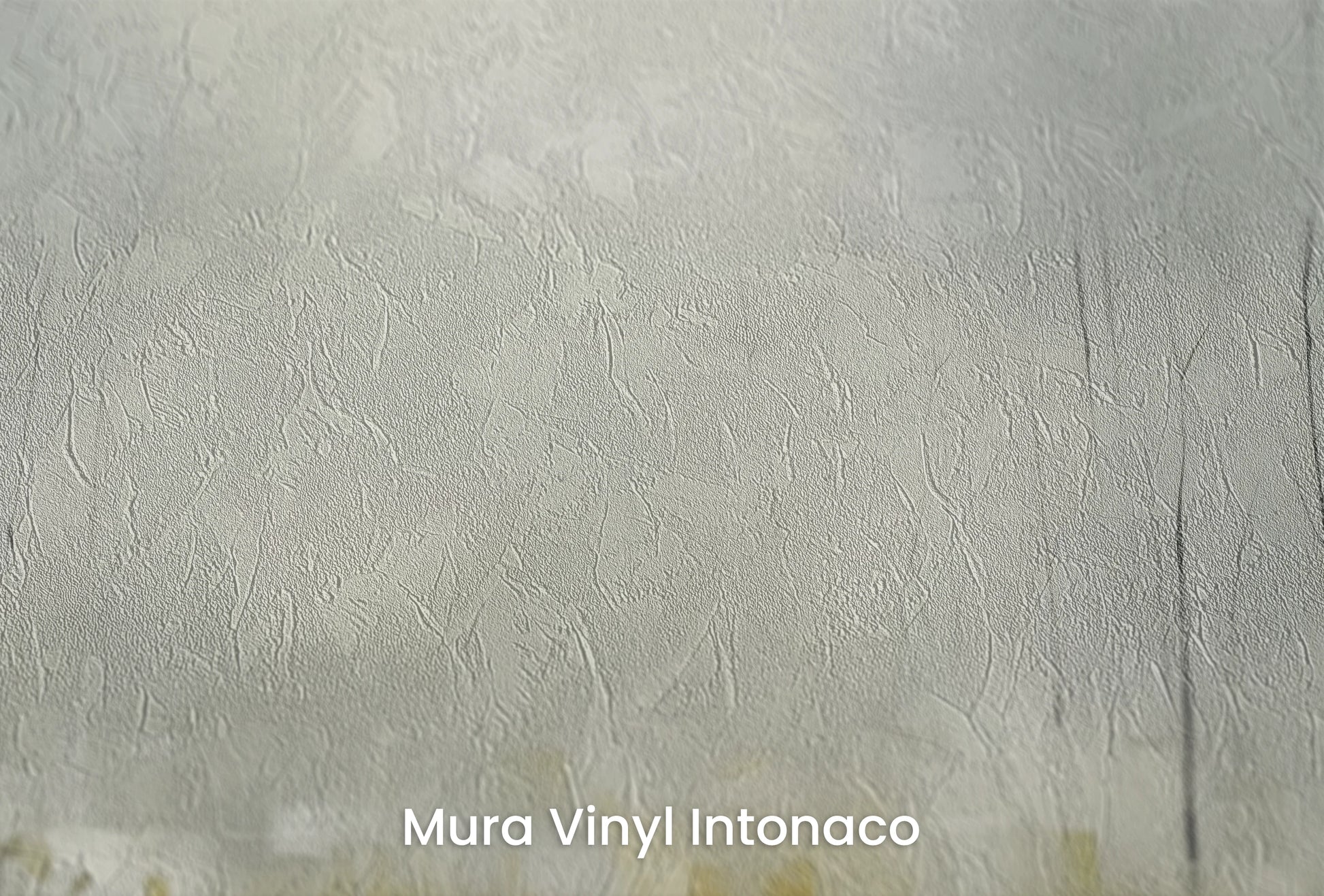 Zbliżenie na artystyczną fototapetę o nazwie Zatopione w Mgle na podłożu Mura Vinyl Intonaco - struktura tartego tynku.