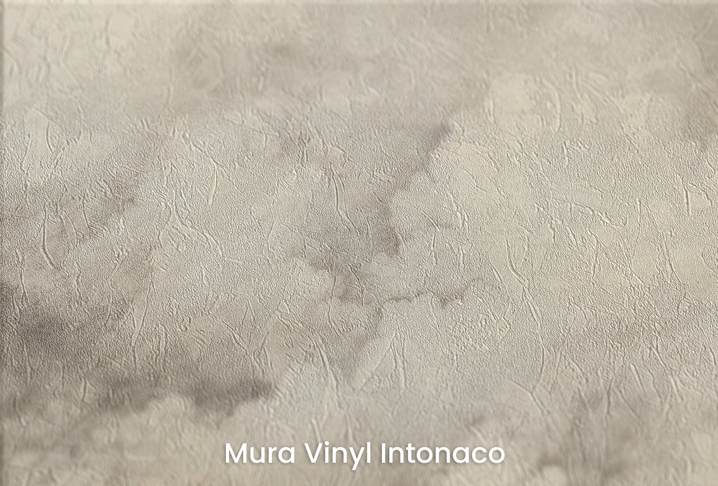Zbliżenie na artystyczną fototapetę o nazwie STORM'S SILENT na podłożu Mura Vinyl Intonaco - struktura tartego tynku.