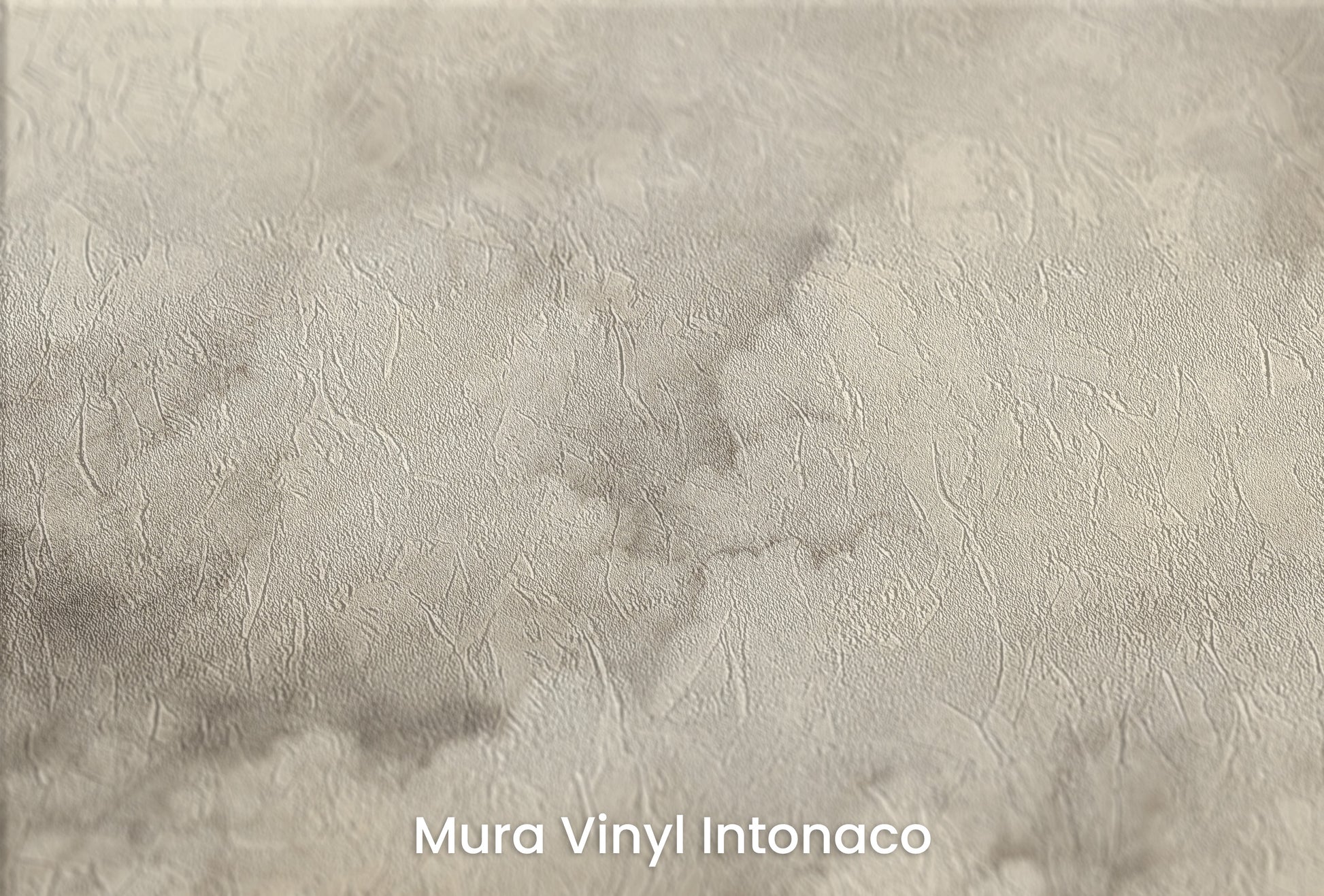 Zbliżenie na artystyczną fototapetę o nazwie STORM'S SILENT na podłożu Mura Vinyl Intonaco - struktura tartego tynku.