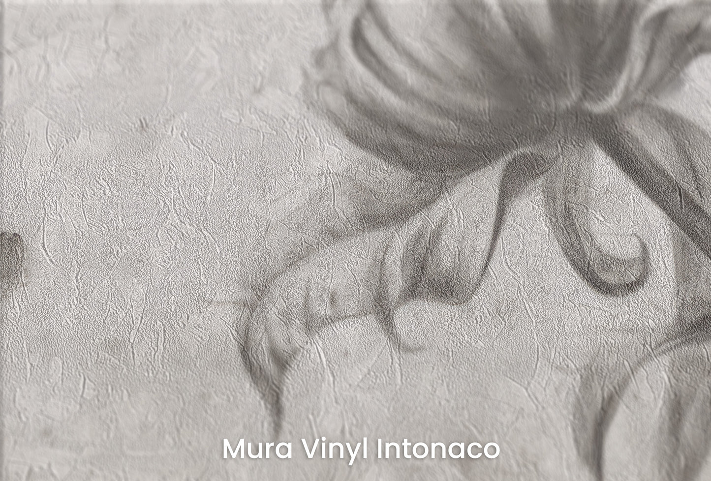 Zbliżenie na artystyczną fototapetę o nazwie GRACEFUL SOLITUDE na podłożu Mura Vinyl Intonaco - struktura tartego tynku.