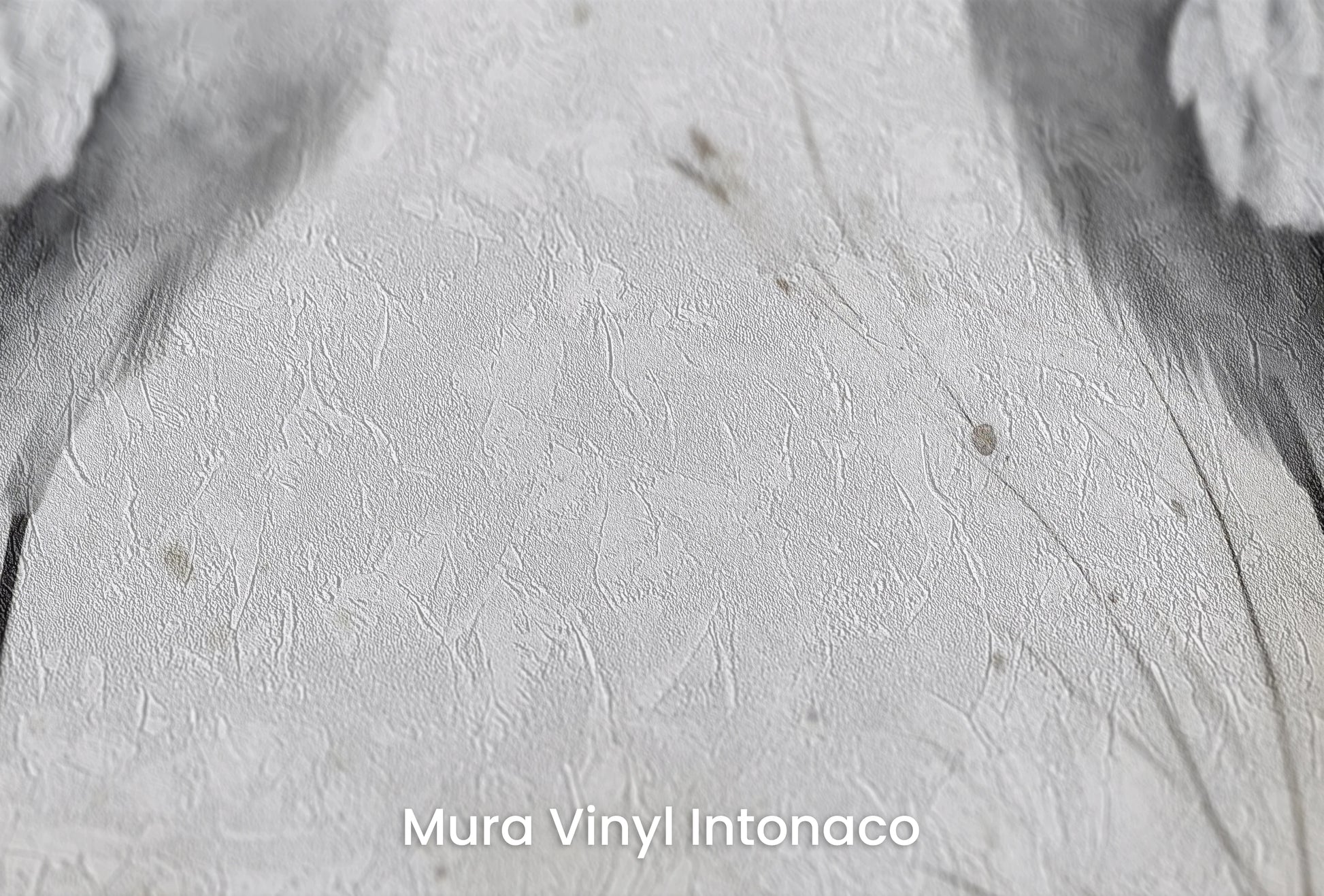 Zbliżenie na artystyczną fototapetę o nazwie Serene Nature na podłożu Mura Vinyl Intonaco - struktura tartego tynku.