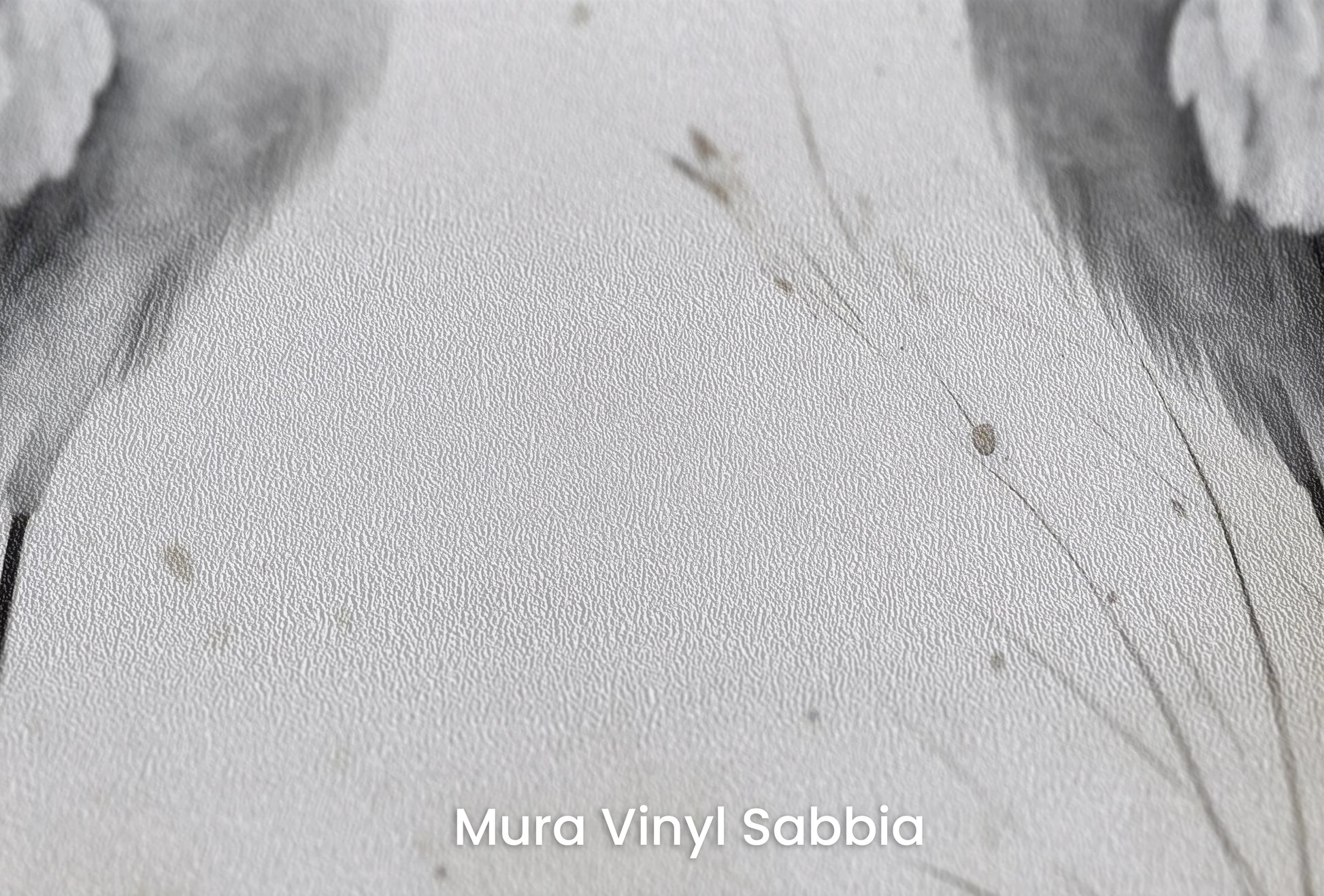 Zbliżenie na artystyczną fototapetę o nazwie Serene Nature na podłożu Mura Vinyl Sabbia struktura grubego ziarna piasku.