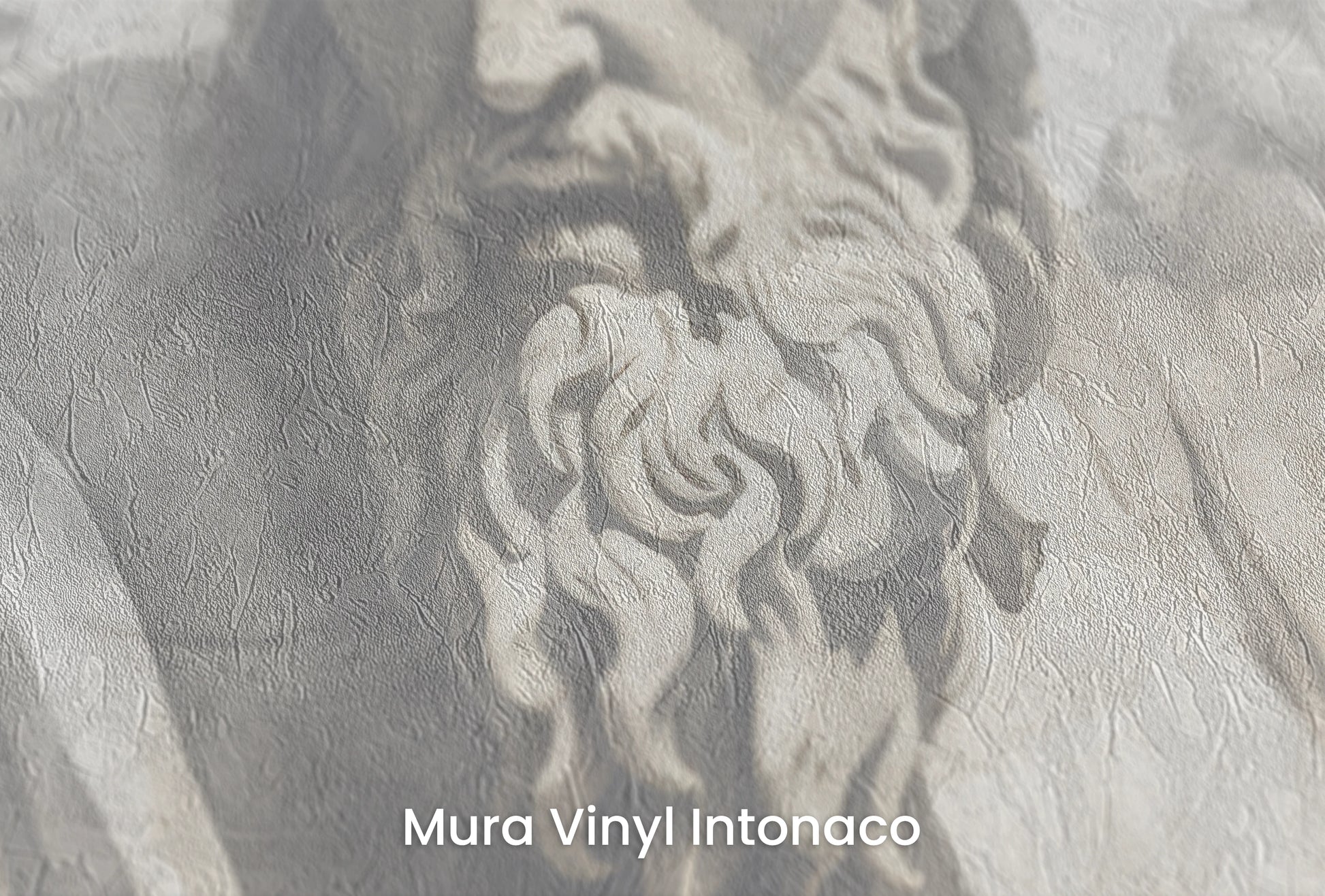 Zbliżenie na artystyczną fototapetę o nazwie Zeus's Contemplation na podłożu Mura Vinyl Intonaco - struktura tartego tynku.