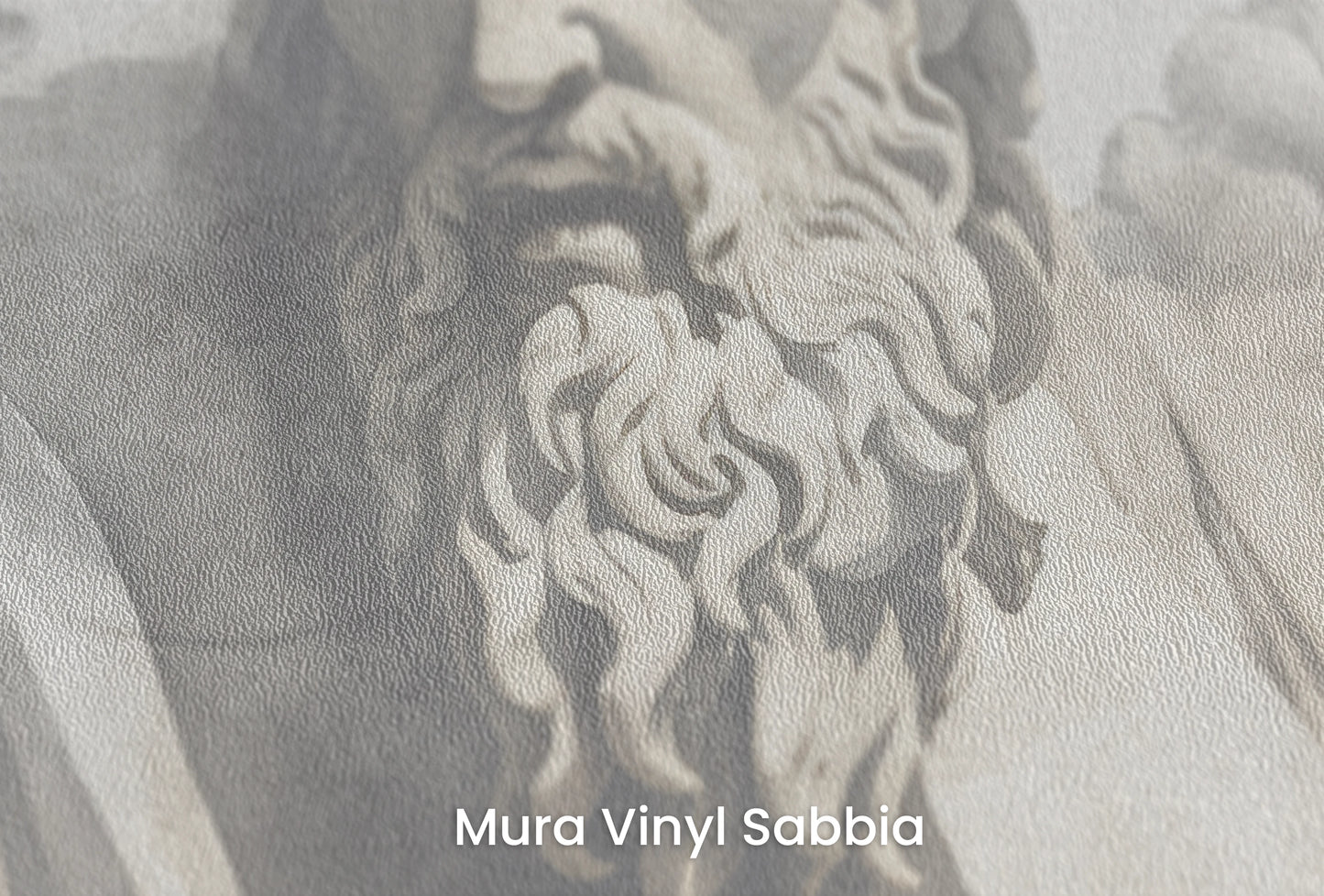 Zbliżenie na artystyczną fototapetę o nazwie Zeus's Contemplation na podłożu Mura Vinyl Sabbia struktura grubego ziarna piasku.
