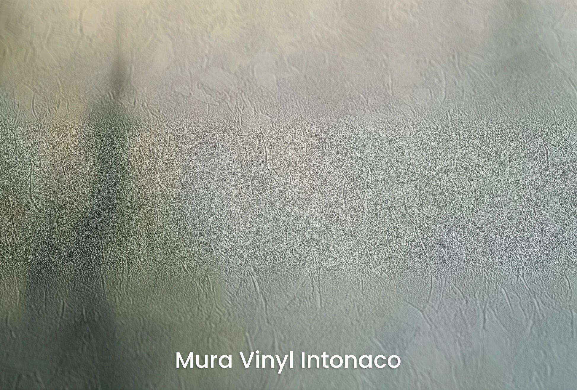 Zbliżenie na artystyczną fototapetę o nazwie Tęcza Mgły na podłożu Mura Vinyl Intonaco - struktura tartego tynku.