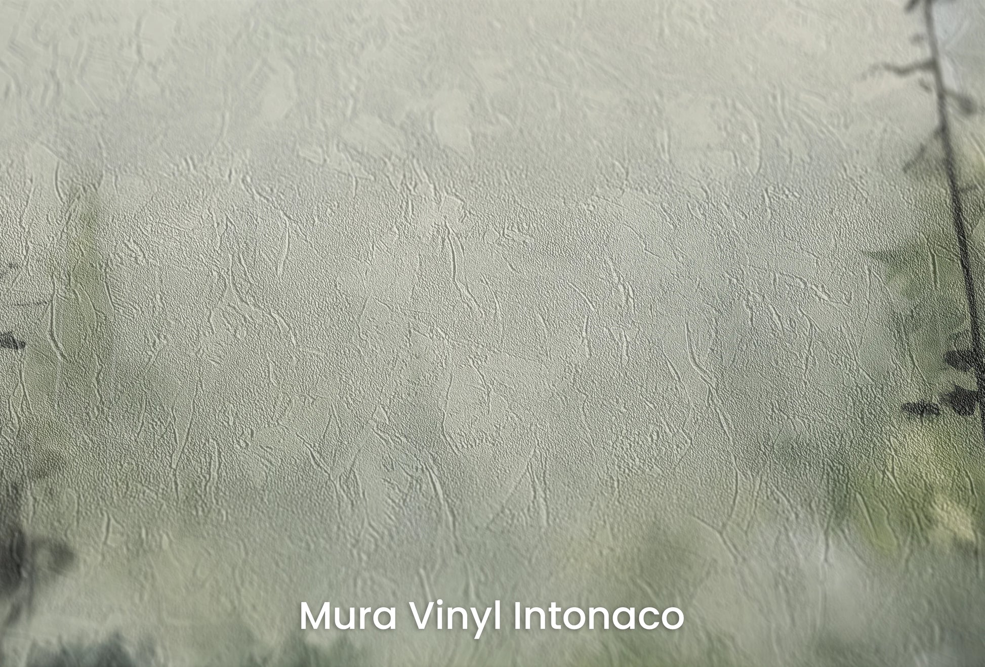 Zbliżenie na artystyczną fototapetę o nazwie Szarości i Odbicia na podłożu Mura Vinyl Intonaco - struktura tartego tynku.