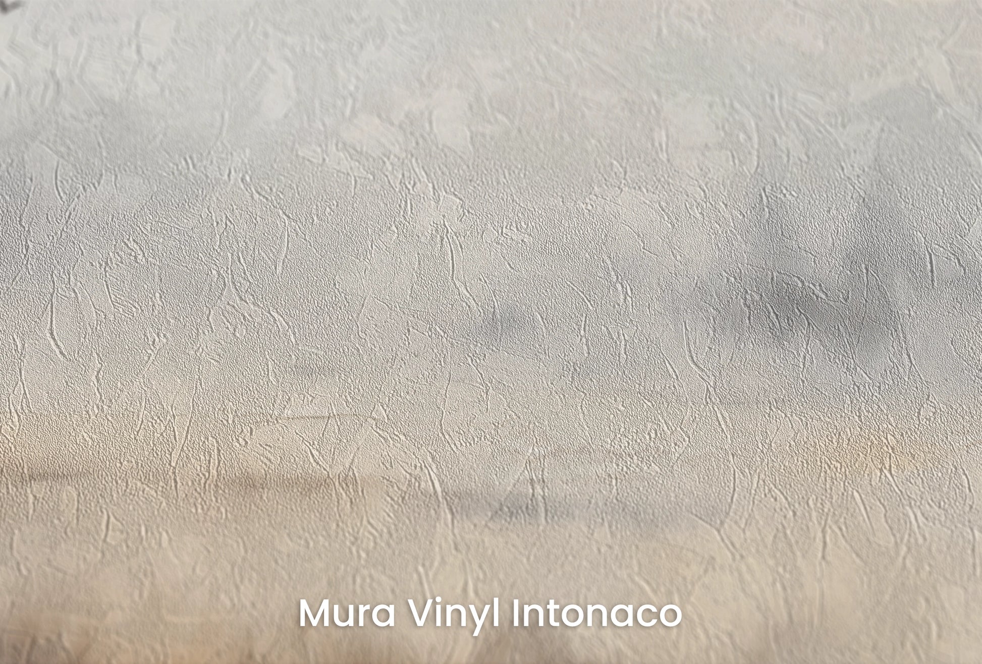 Zbliżenie na artystyczną fototapetę o nazwie Zmierzch nad Bagnem na podłożu Mura Vinyl Intonaco - struktura tartego tynku.