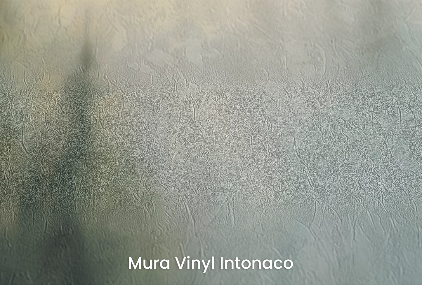 Zbliżenie na artystyczną fototapetę o nazwie Oddech Natury na podłożu Mura Vinyl Intonaco - struktura tartego tynku.