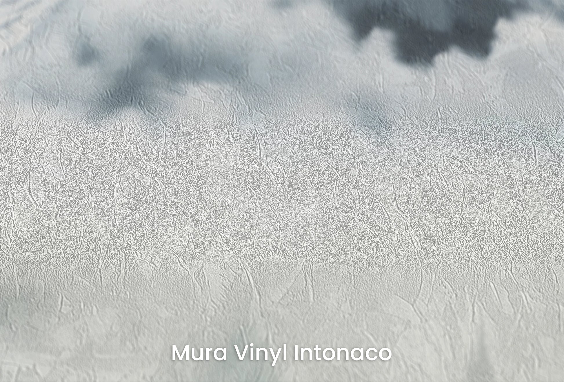 Zbliżenie na artystyczną fototapetę o nazwie Ethereal Mountain Whisper na podłożu Mura Vinyl Intonaco - struktura tartego tynku.