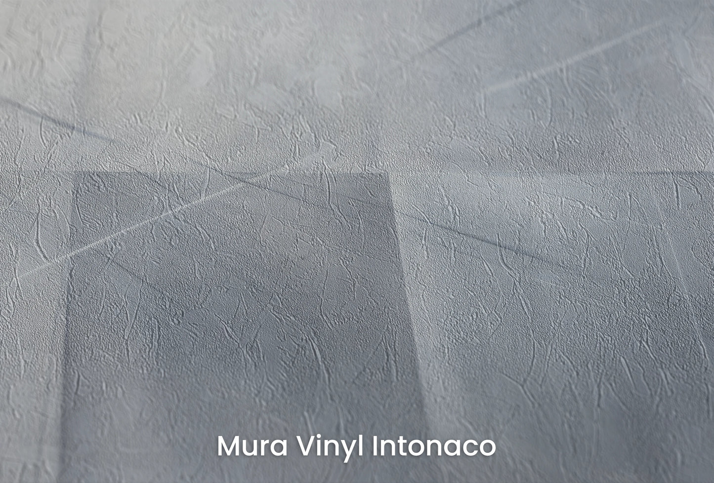 Zbliżenie na artystyczną fototapetę o nazwie Urban Scape na podłożu Mura Vinyl Intonaco - struktura tartego tynku.