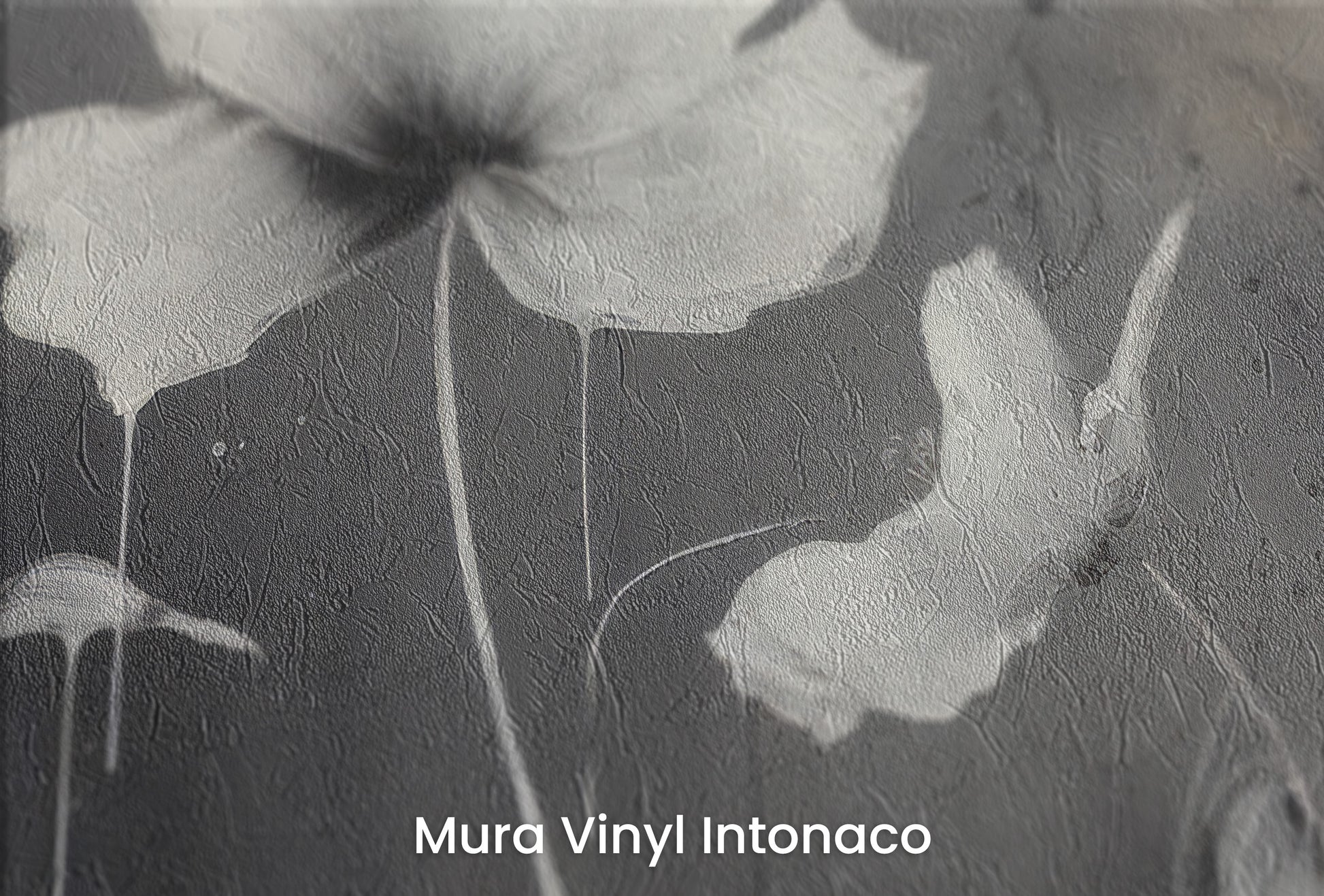 Zbliżenie na artystyczną fototapetę o nazwie MONOCHROME MEADOW na podłożu Mura Vinyl Intonaco - struktura tartego tynku.