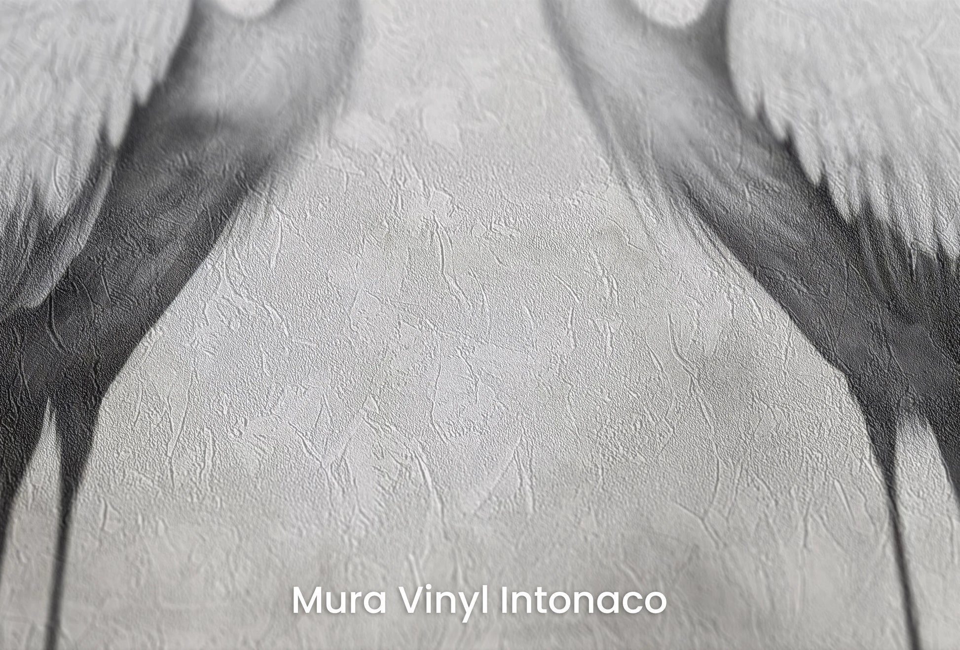 Zbliżenie na artystyczną fototapetę o nazwie Monochrome Elegance #3 na podłożu Mura Vinyl Intonaco - struktura tartego tynku.