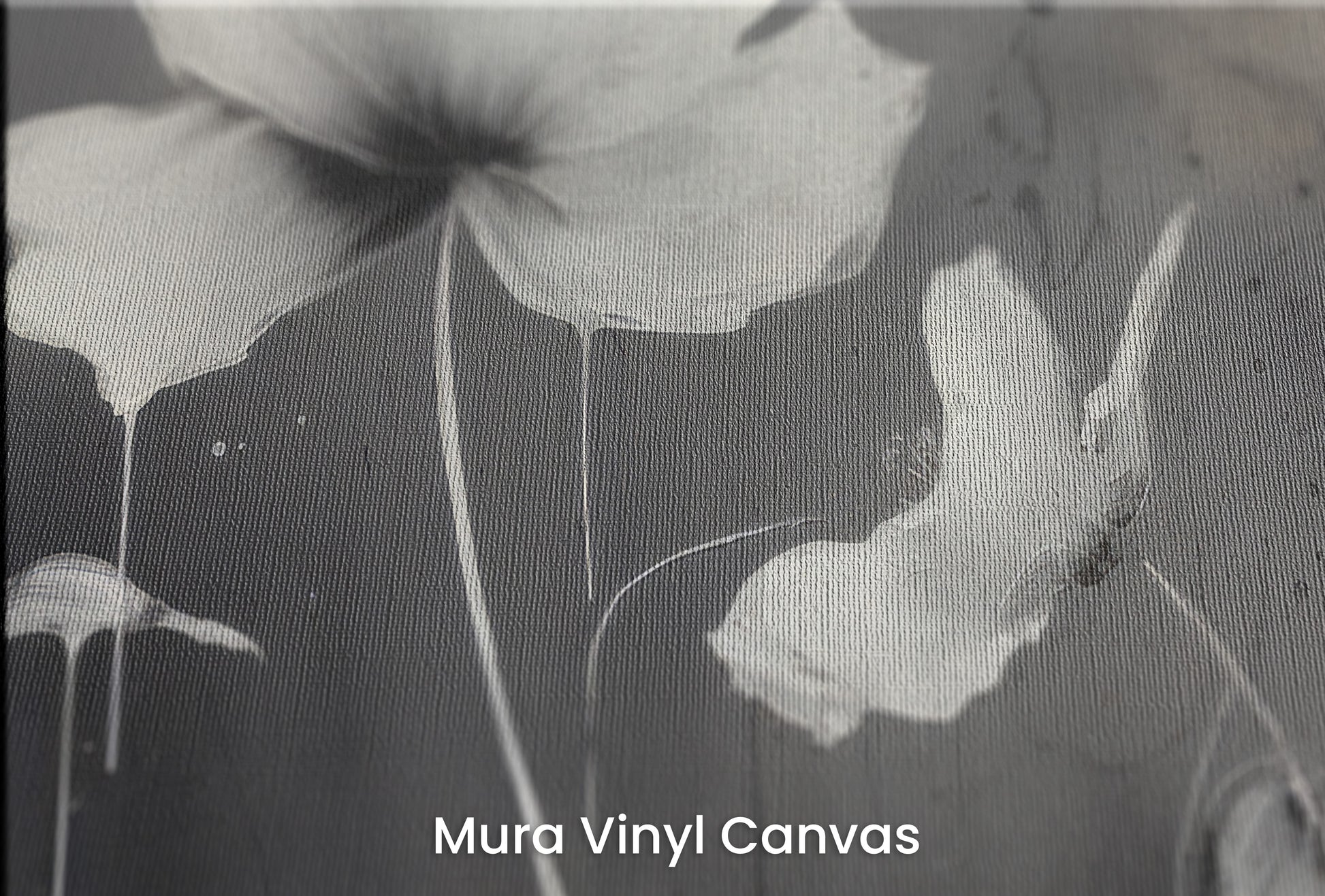 Zbliżenie na artystyczną fototapetę o nazwie MONOCHROME MEADOW na podłożu Mura Vinyl Canvas - faktura naturalnego płótna.