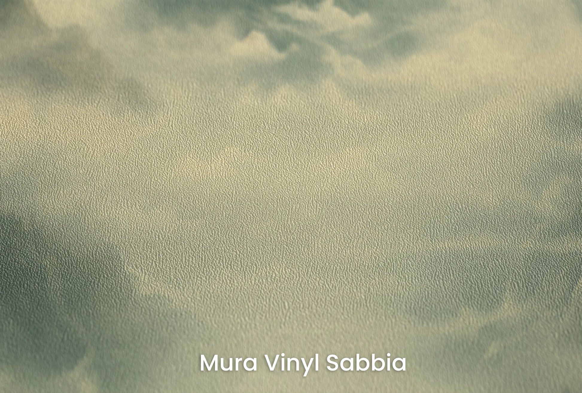 Zbliżenie na artystyczną fototapetę o nazwie Poranna Delikatność na podłożu Mura Vinyl Sabbia struktura grubego ziarna piasku.