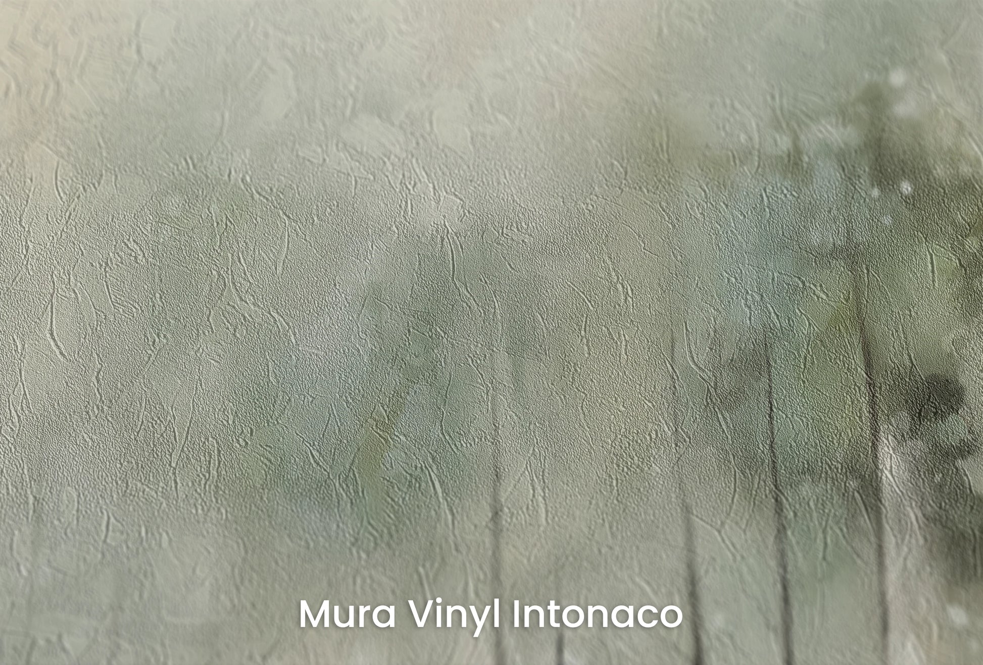 Zbliżenie na artystyczną fototapetę o nazwie Echo Lasu na podłożu Mura Vinyl Intonaco - struktura tartego tynku.