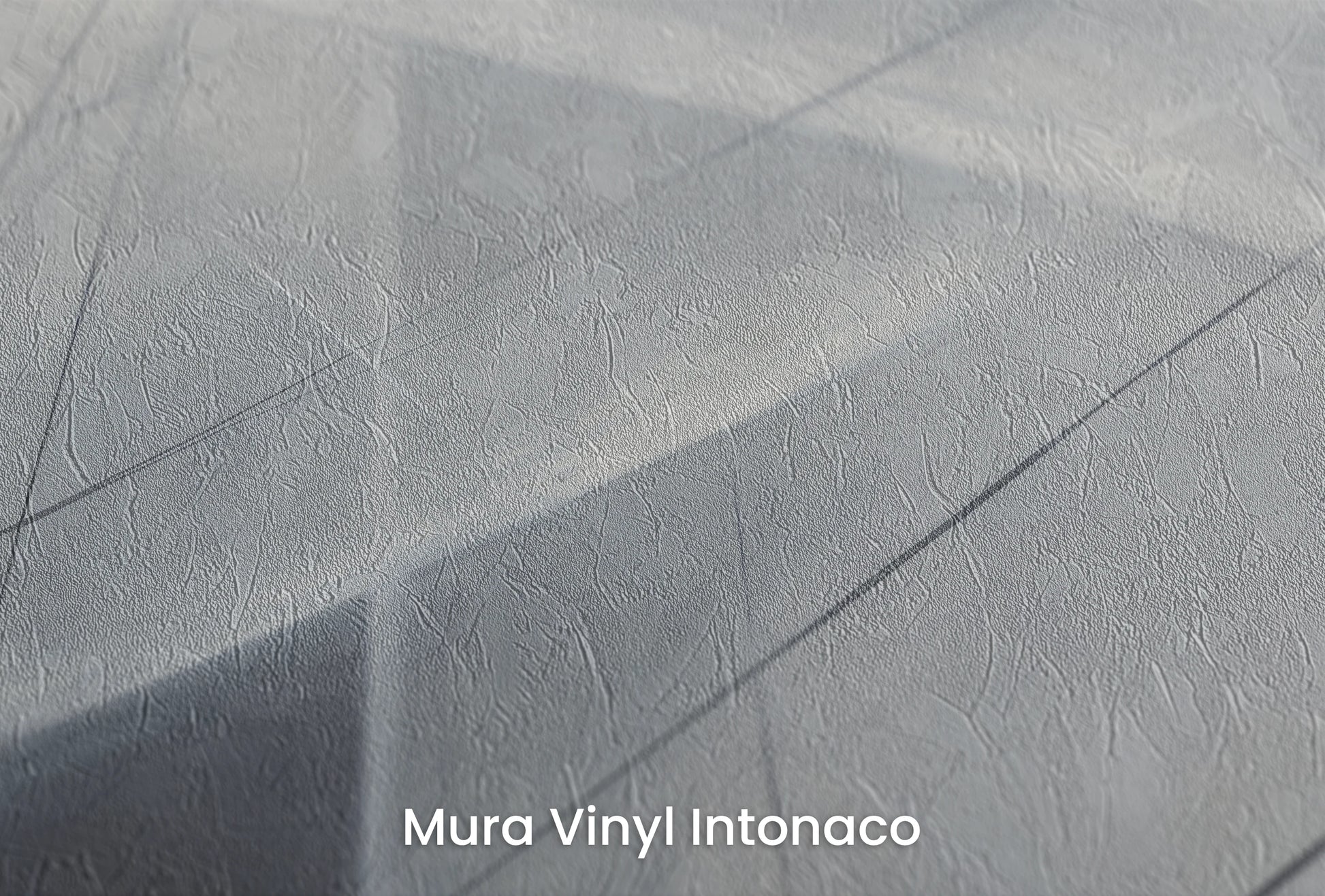 Zbliżenie na artystyczną fototapetę o nazwie Monochrome Network na podłożu Mura Vinyl Intonaco - struktura tartego tynku.