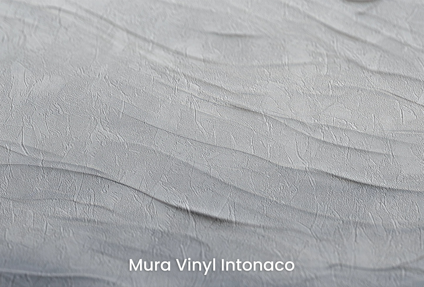 Zbliżenie na artystyczną fototapetę o nazwie Silent Whispers na podłożu Mura Vinyl Intonaco - struktura tartego tynku.