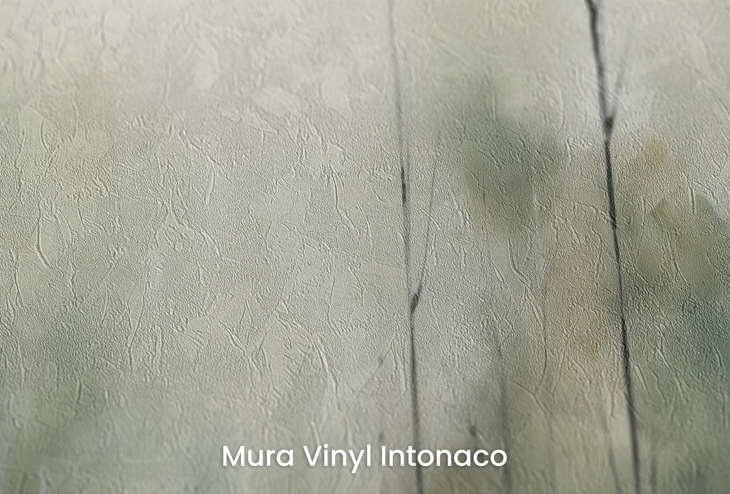 Zbliżenie na artystyczną fototapetę o nazwie Mgielne Drzewa na podłożu Mura Vinyl Intonaco - struktura tartego tynku.