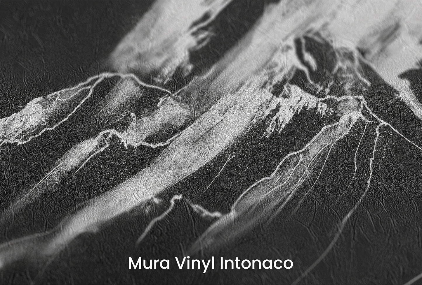 Zbliżenie na artystyczną fototapetę o nazwie Monochrome Majesty na podłożu Mura Vinyl Intonaco - struktura tartego tynku.