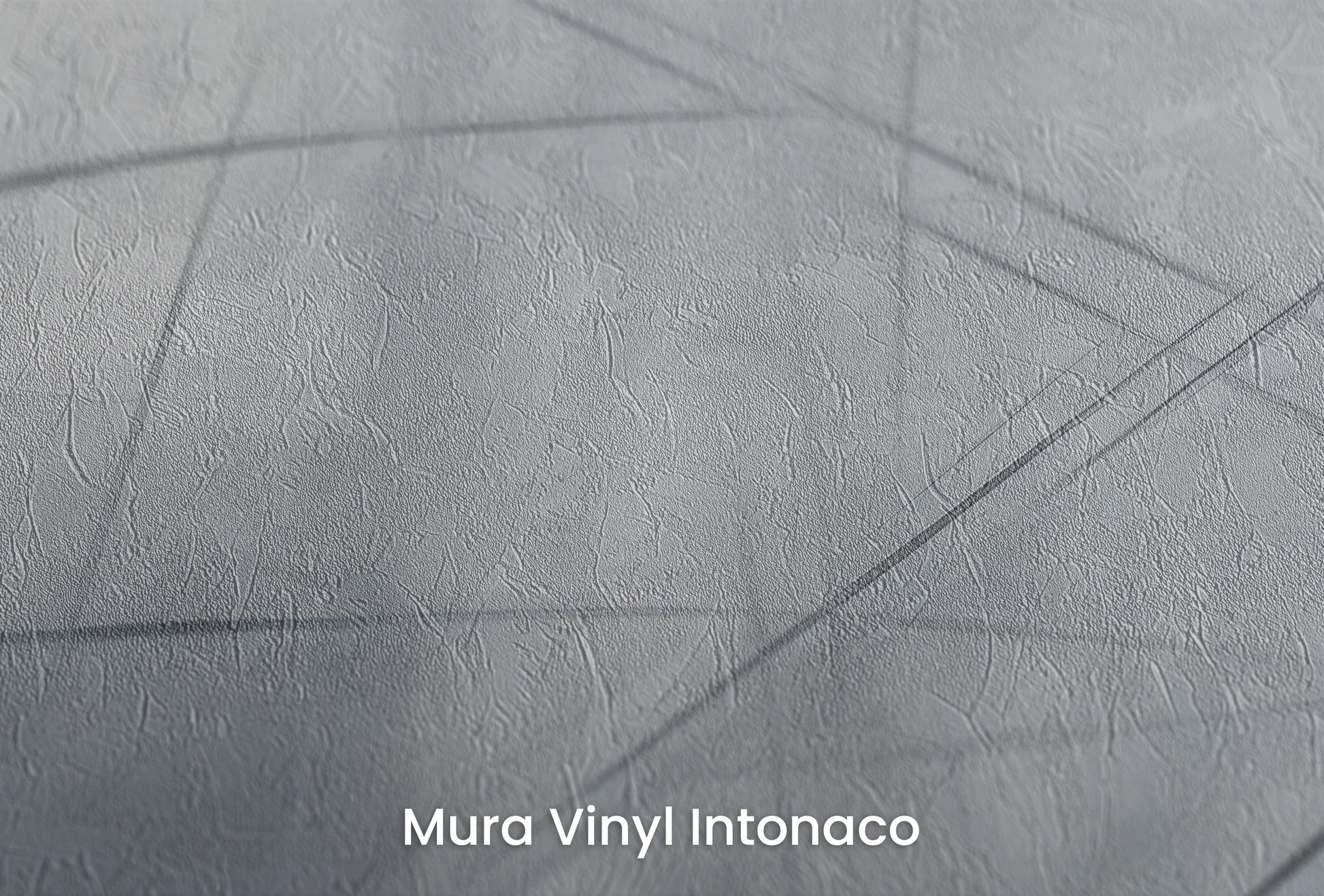 Zbliżenie na artystyczną fototapetę o nazwie Ephemeral Lines na podłożu Mura Vinyl Intonaco - struktura tartego tynku.