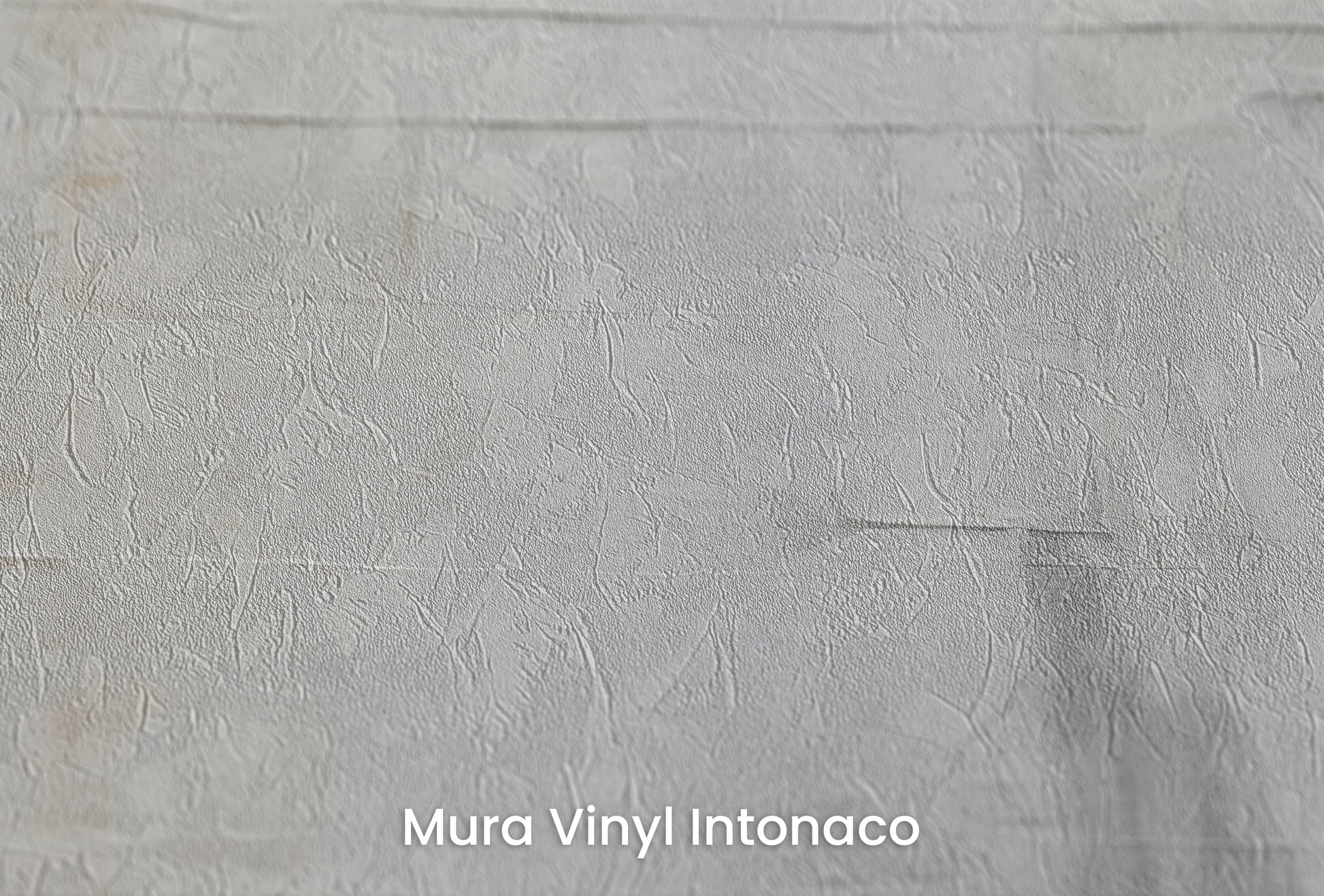 Zbliżenie na artystyczną fototapetę o nazwie Whispering Strata na podłożu Mura Vinyl Intonaco - struktura tartego tynku.