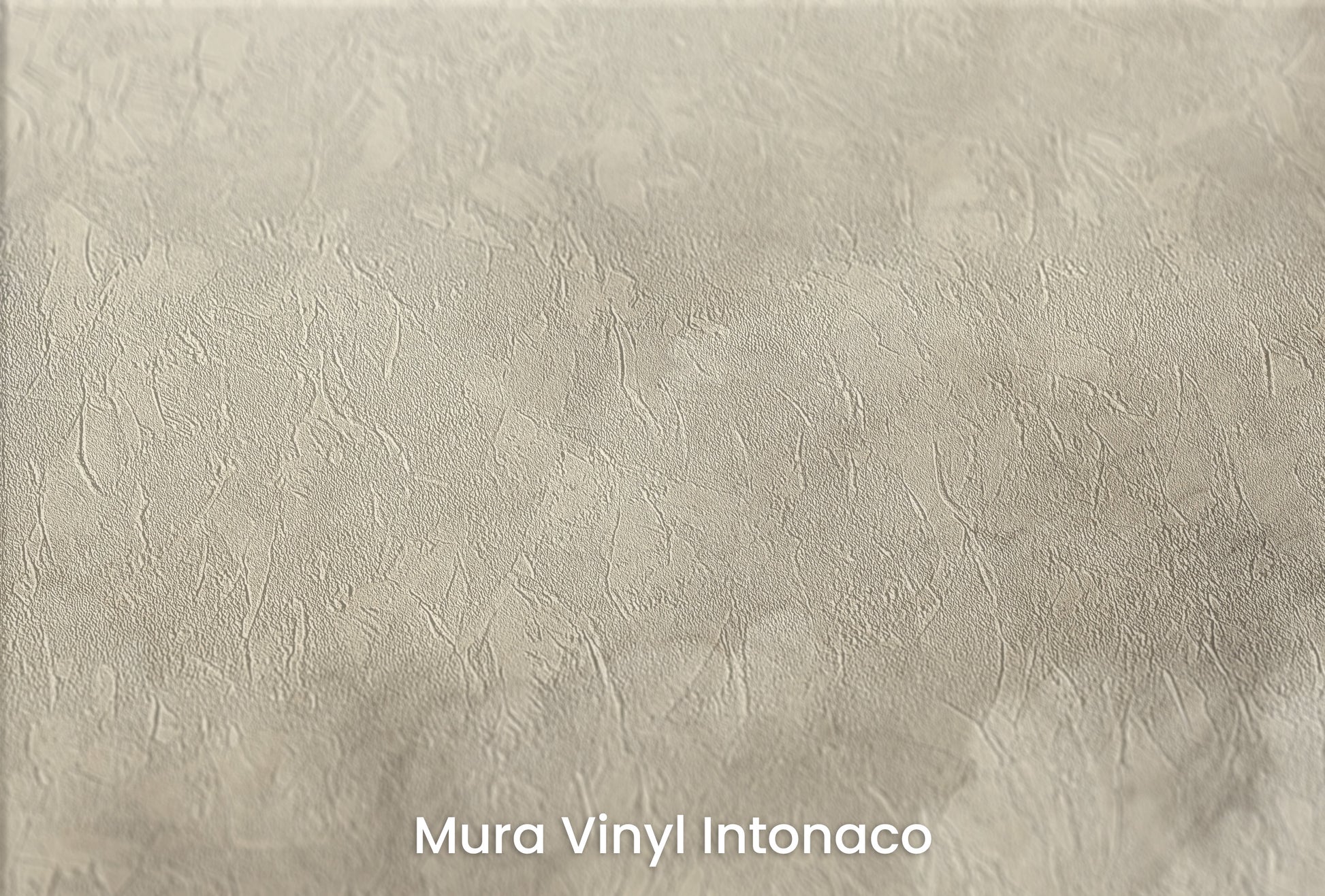 Zbliżenie na artystyczną fototapetę o nazwie HEAVENLY ASPIRE MURAL na podłożu Mura Vinyl Intonaco - struktura tartego tynku.