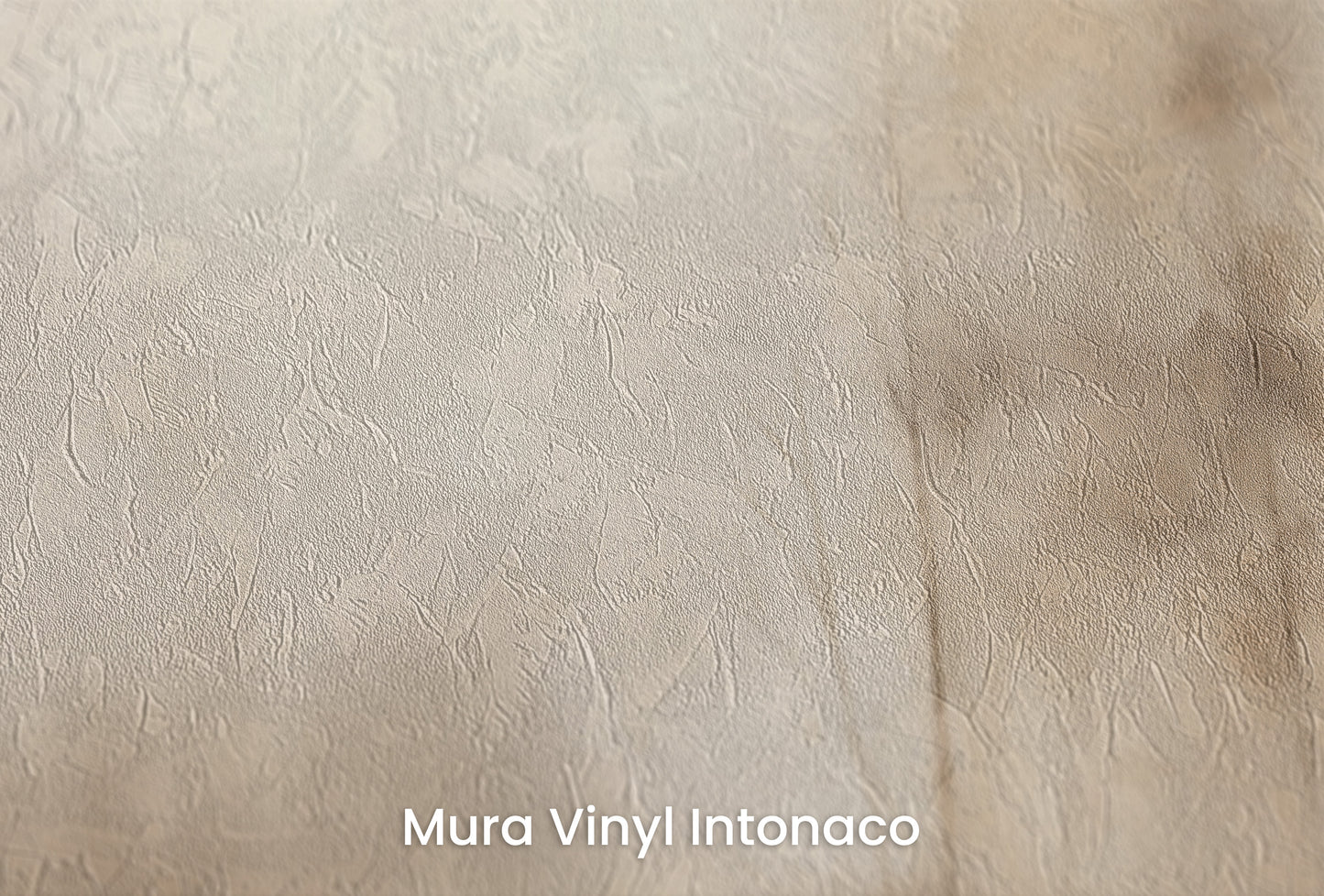 Zbliżenie na artystyczną fototapetę o nazwie MISTY MORNING VEIL MURAL na podłożu Mura Vinyl Intonaco - struktura tartego tynku.