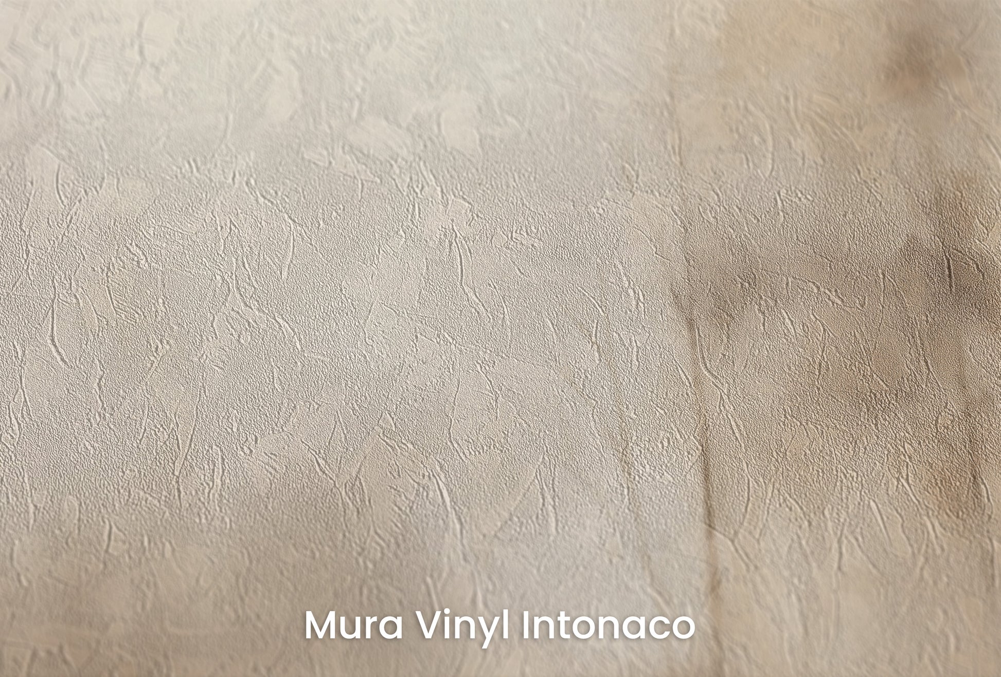 Zbliżenie na artystyczną fototapetę o nazwie MISTY MORNING VEIL MURAL na podłożu Mura Vinyl Intonaco - struktura tartego tynku.