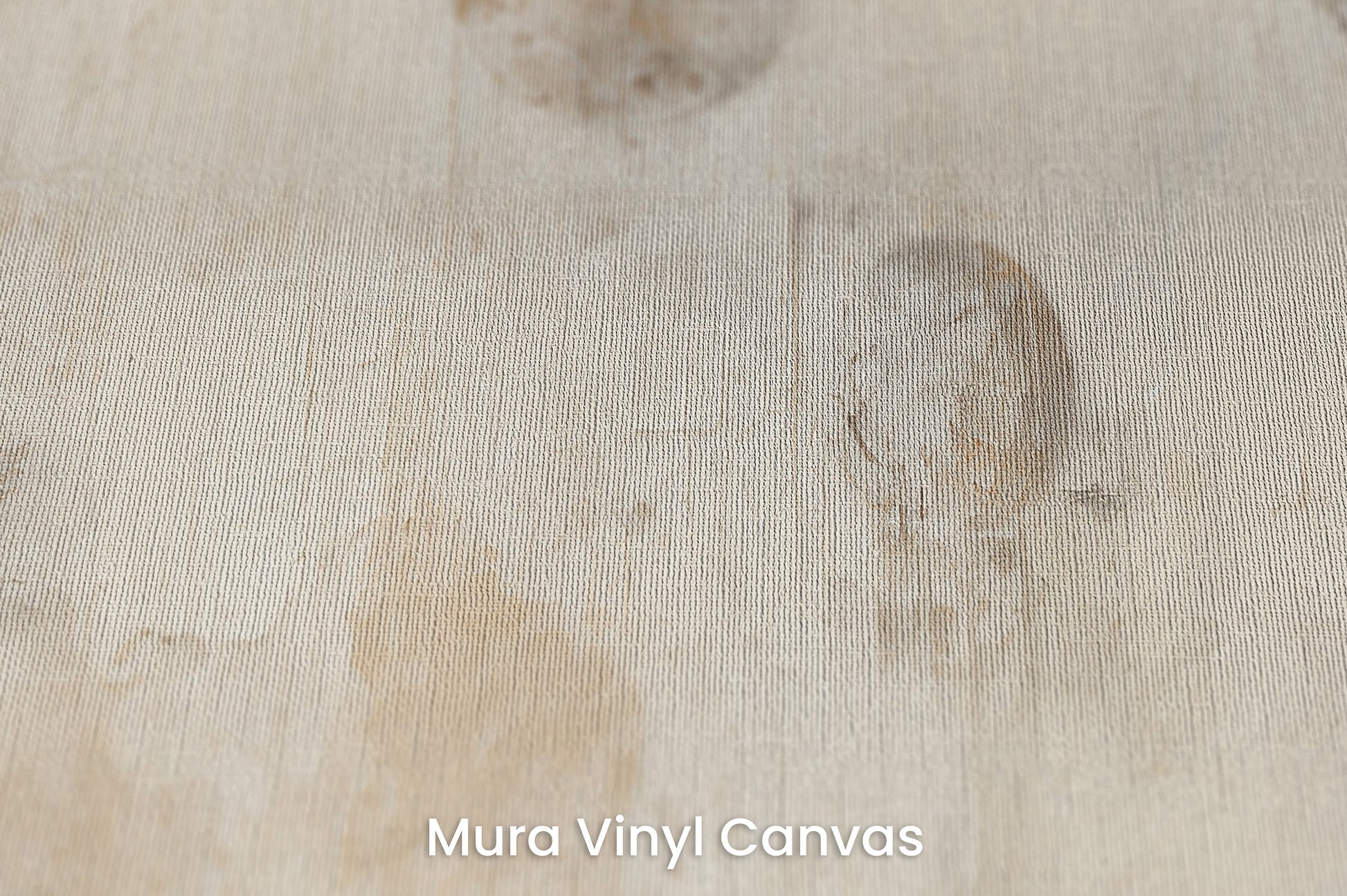 Zbliżenie na artystyczną fototapetę o nazwie VINTAGE PLANETARY MOTIFS na podłożu Mura Vinyl Canvas - faktura naturalnego płótna.