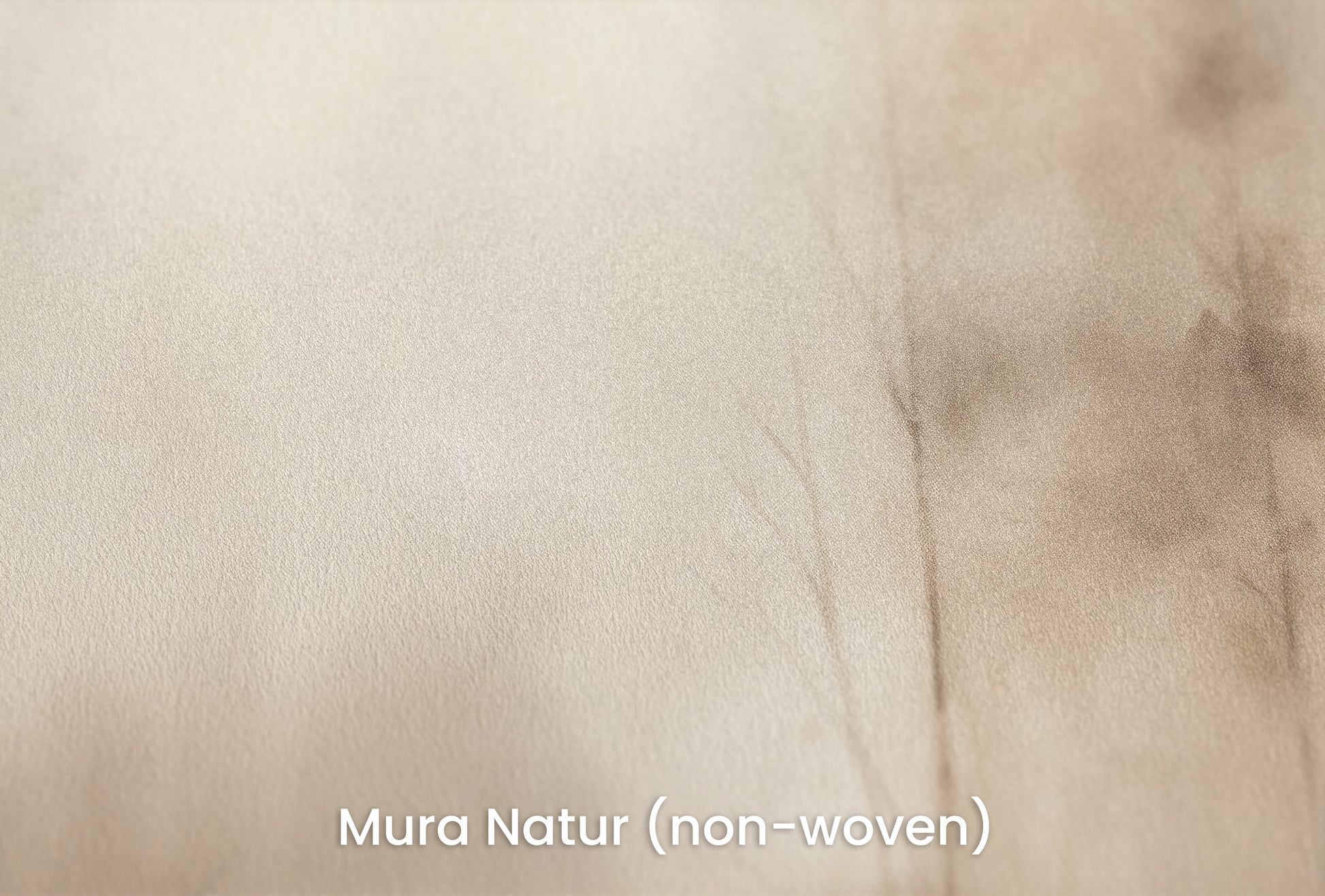 Zbliżenie na artystyczną fototapetę o nazwie MISTY MORNING VEIL MURAL na podłożu Mura Natur (non-woven) - naturalne i ekologiczne podłoże.