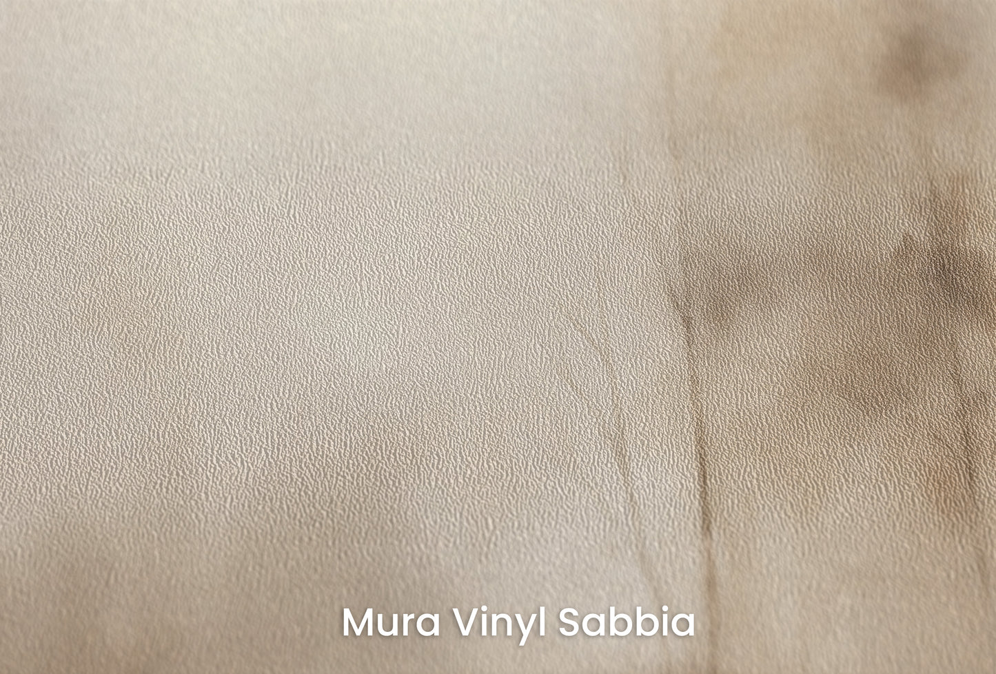 Zbliżenie na artystyczną fototapetę o nazwie MISTY MORNING VEIL MURAL na podłożu Mura Vinyl Sabbia struktura grubego ziarna piasku.