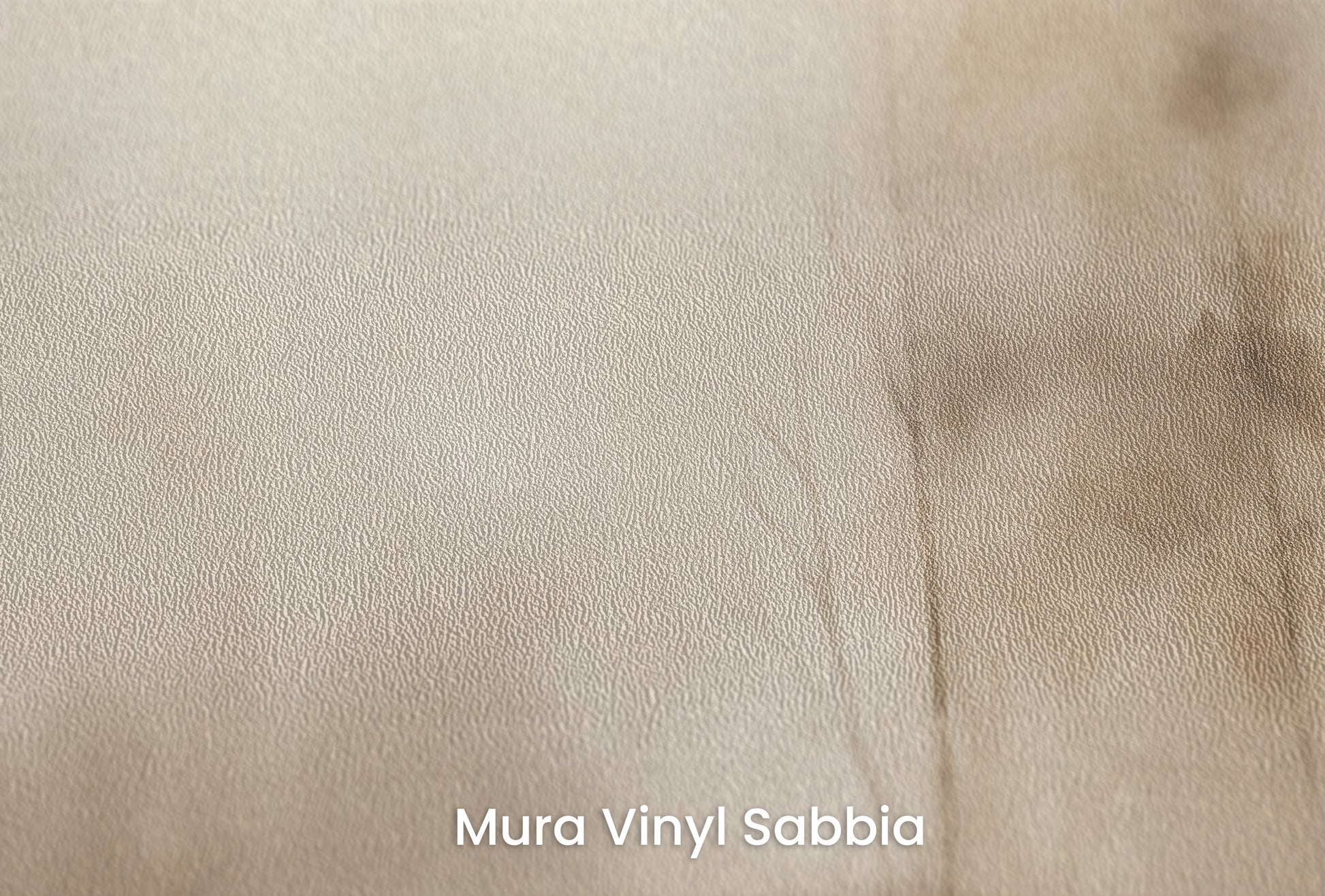 Zbliżenie na artystyczną fototapetę o nazwie MISTY MORNING VEIL MURAL na podłożu Mura Vinyl Sabbia struktura grubego ziarna piasku.