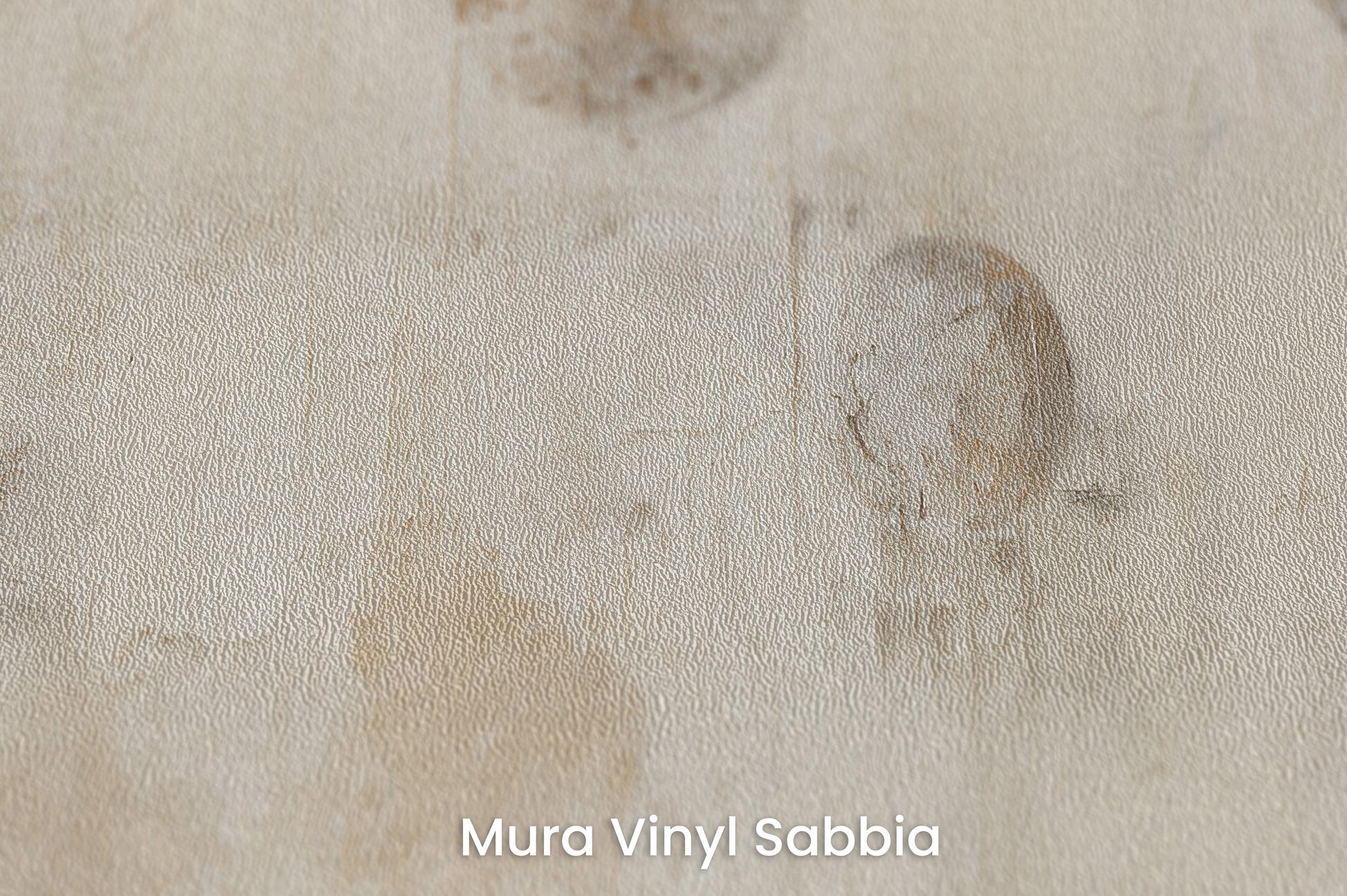 Zbliżenie na artystyczną fototapetę o nazwie VINTAGE PLANETARY MOTIFS na podłożu Mura Vinyl Sabbia struktura grubego ziarna piasku.