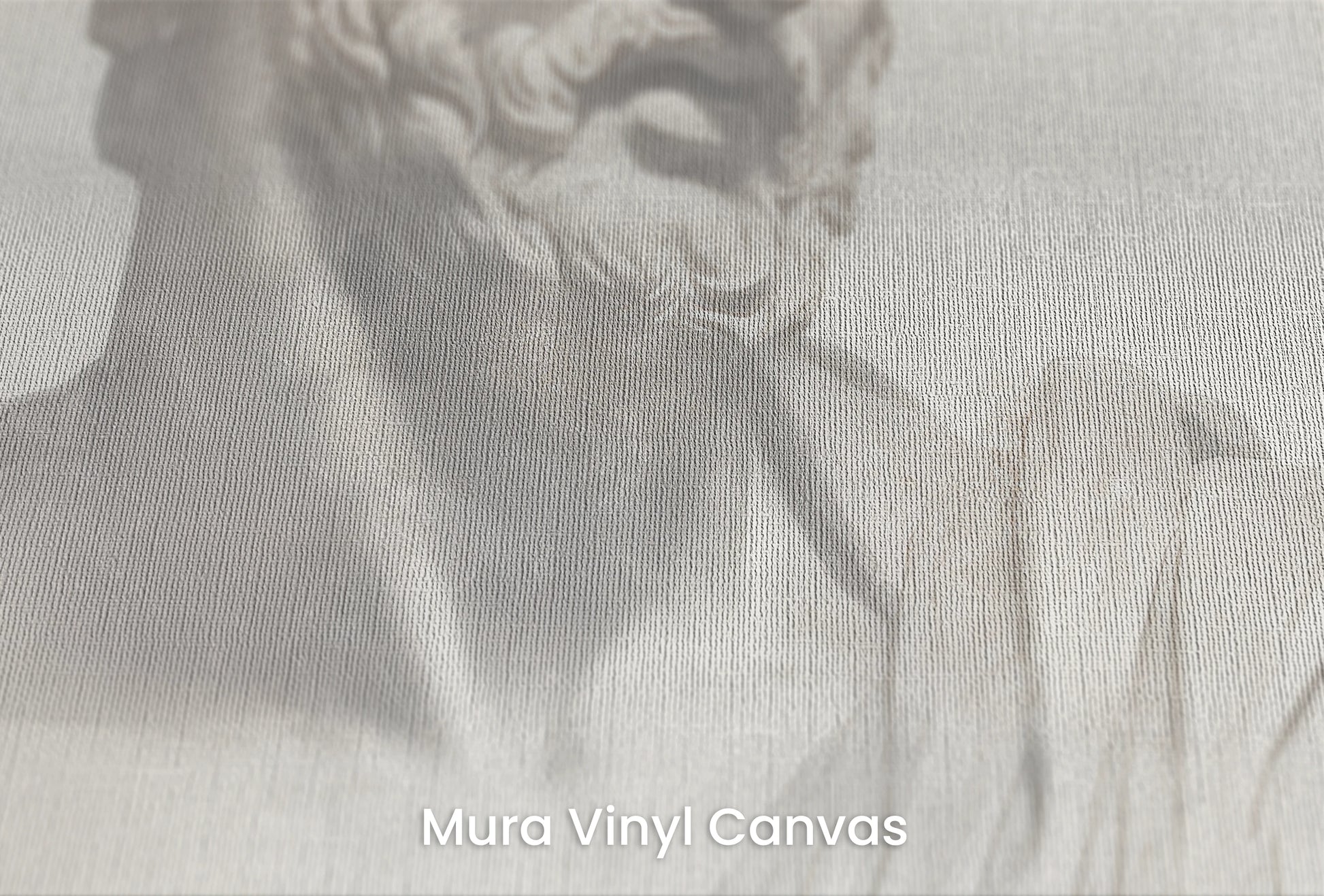 Zbliżenie na artystyczną fototapetę o nazwie Athenian Discourse na podłożu Mura Vinyl Canvas - faktura naturalnego płótna.