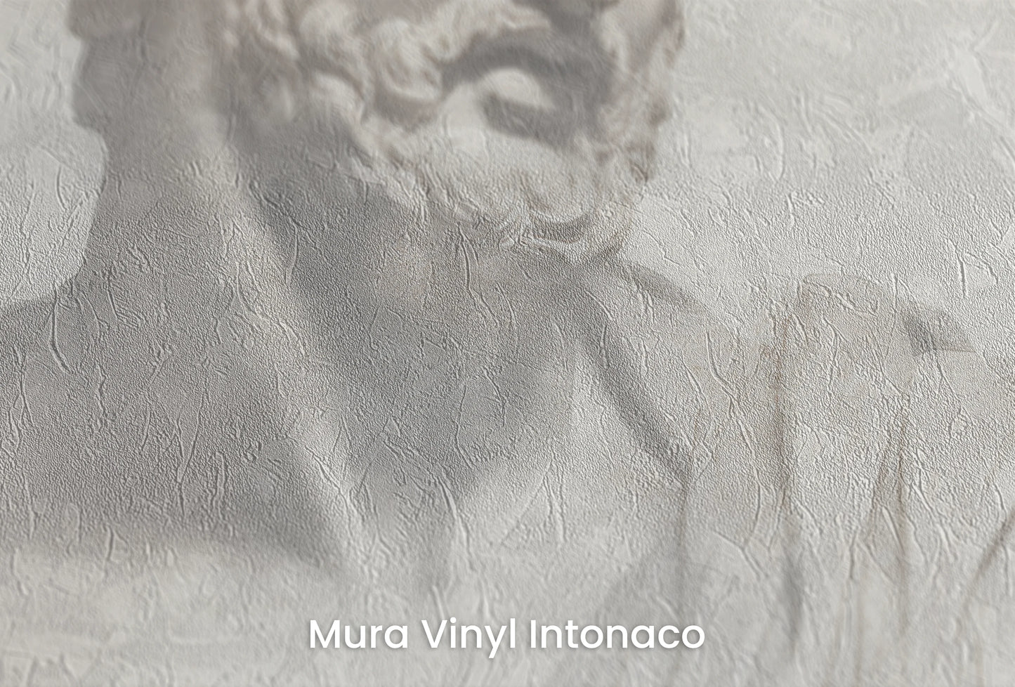 Zbliżenie na artystyczną fototapetę o nazwie Athenian Discourse na podłożu Mura Vinyl Intonaco - struktura tartego tynku.