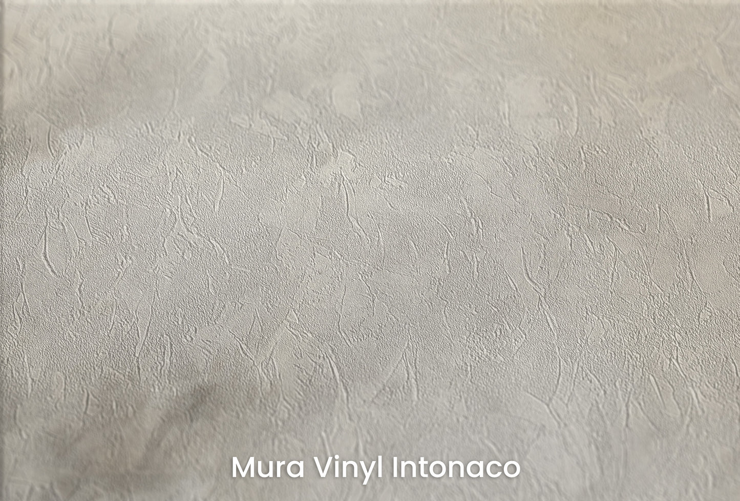 Zbliżenie na artystyczną fototapetę o nazwie WHISPERING MIST MURAL na podłożu Mura Vinyl Intonaco - struktura tartego tynku.