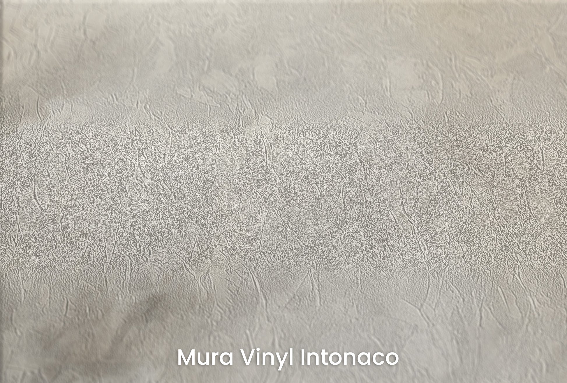 Zbliżenie na artystyczną fototapetę o nazwie WHISPERING MIST MURAL na podłożu Mura Vinyl Intonaco - struktura tartego tynku.