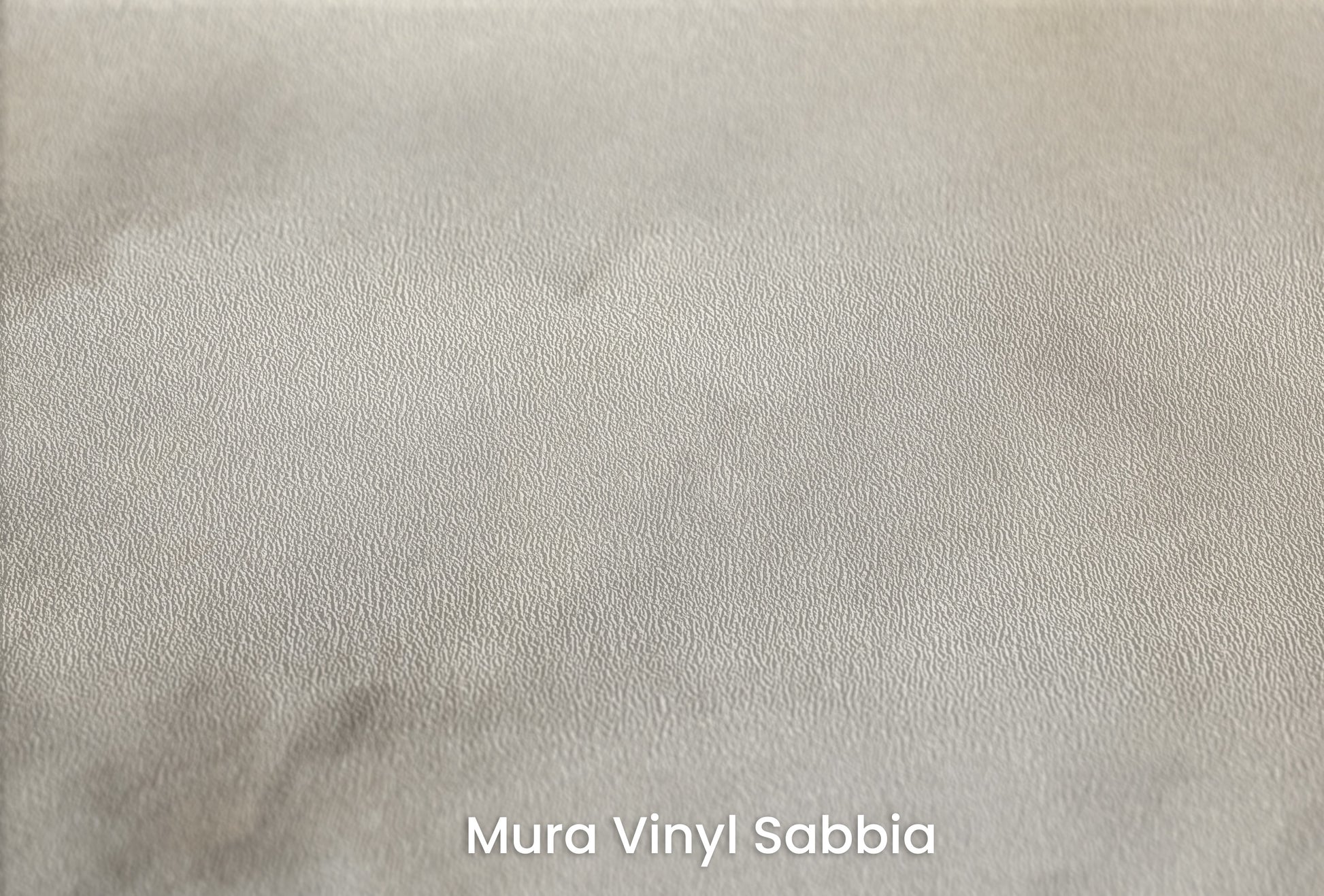Zbliżenie na artystyczną fototapetę o nazwie WHISPERING MIST MURAL na podłożu Mura Vinyl Sabbia struktura grubego ziarna piasku.