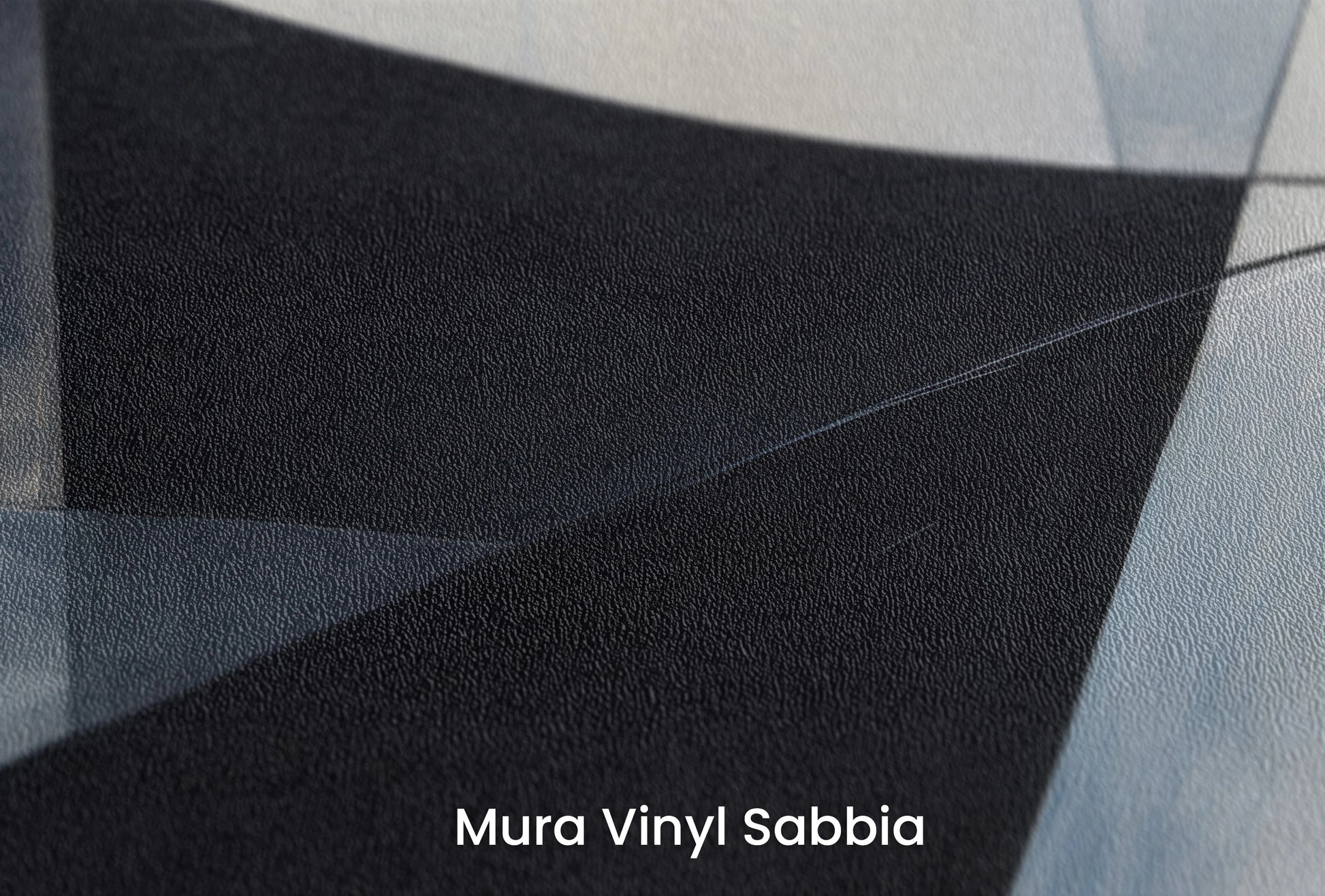 Zbliżenie na artystyczną fototapetę o nazwie Monochrome Elegance #5 na podłożu Mura Vinyl Sabbia struktura grubego ziarna piasku.