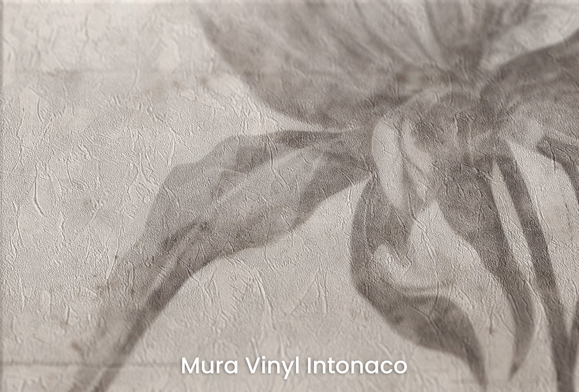 Zbliżenie na artystyczną fototapetę o nazwie ETHEREAL FLEUR na podłożu Mura Vinyl Intonaco - struktura tartego tynku.