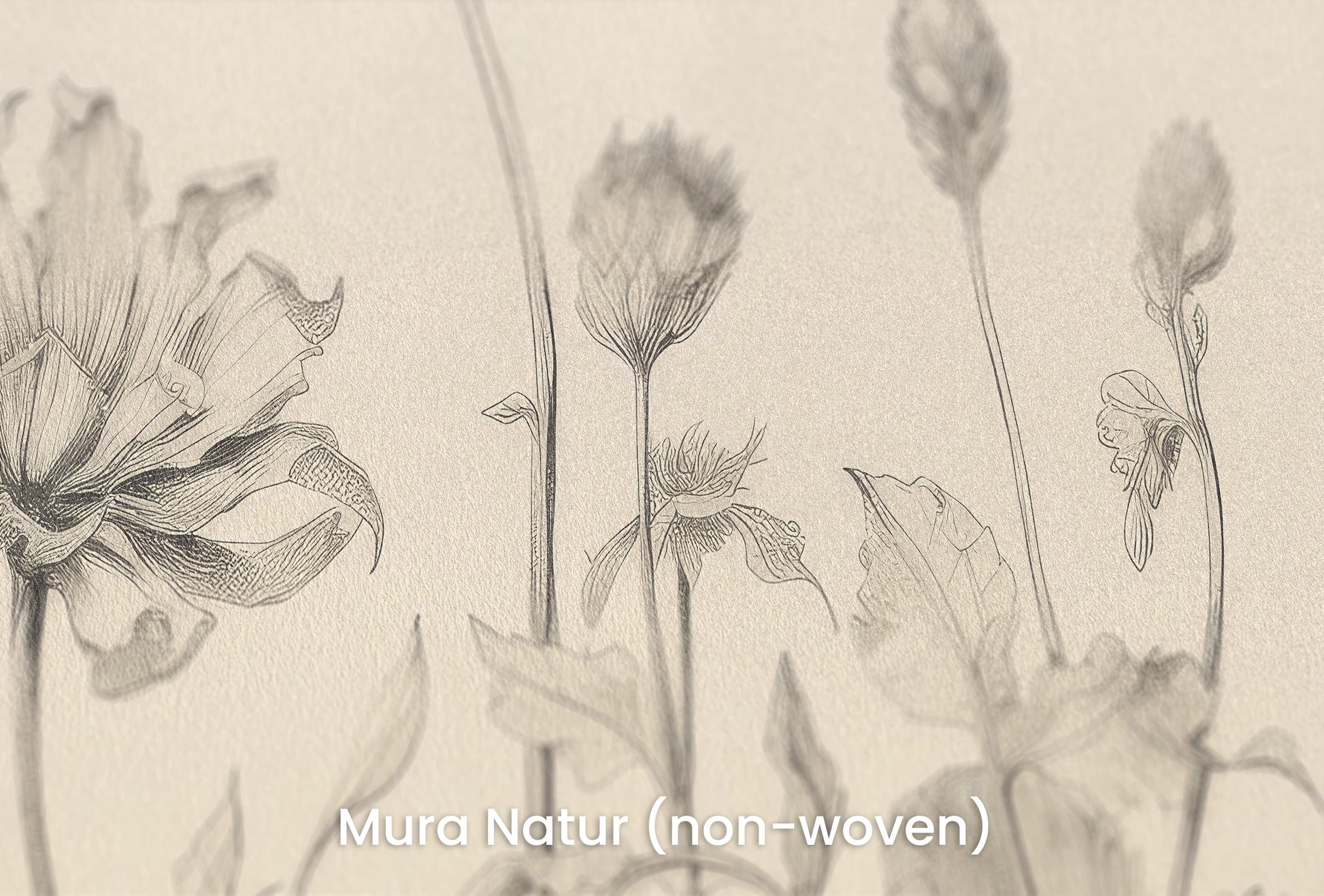 Zbliżenie na artystyczną fototapetę o nazwie Gentle Tulips na podłożu Mura Natur (non-woven) - naturalne i ekologiczne podłoże.