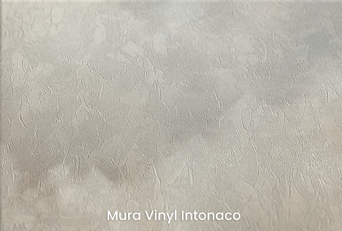 Zbliżenie na artystyczną fototapetę o nazwie WHISPERS OF DAWN MURAL na podłożu Mura Vinyl Intonaco - struktura tartego tynku.