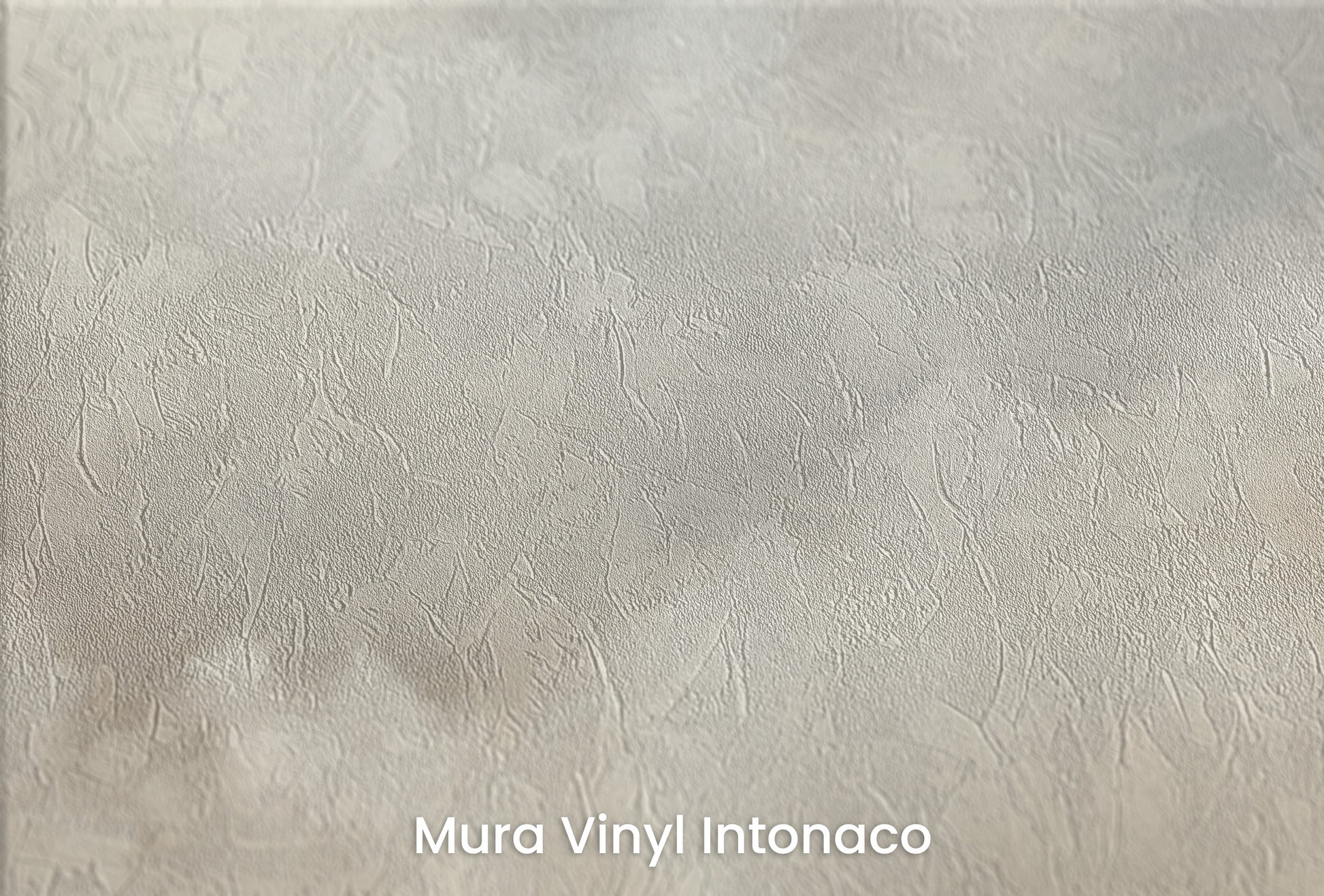 Zbliżenie na artystyczną fototapetę o nazwie WHISPERS OF DAWN MURAL na podłożu Mura Vinyl Intonaco - struktura tartego tynku.