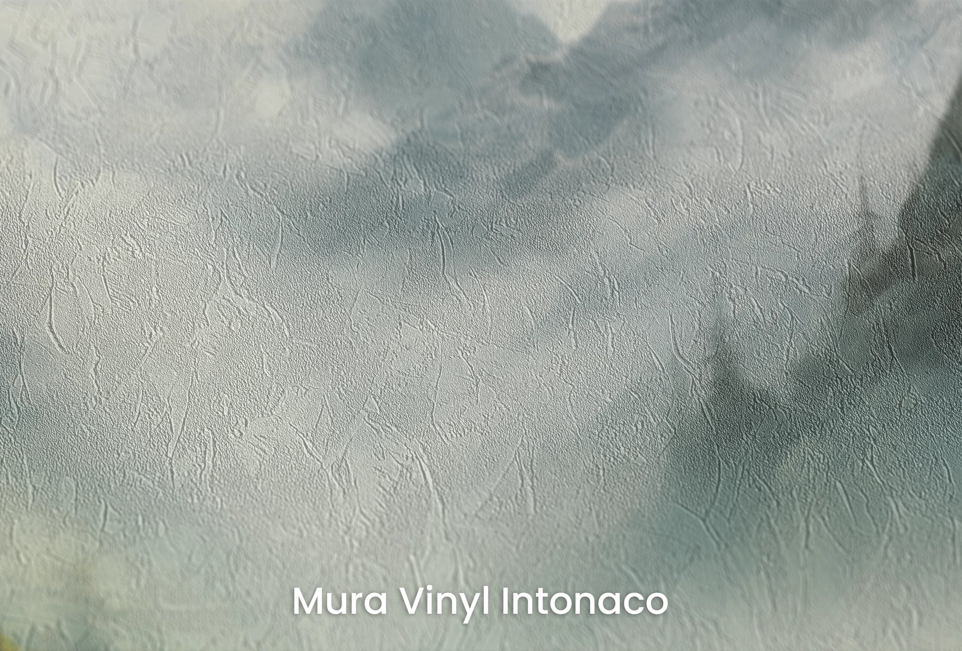 Zbliżenie na artystyczną fototapetę o nazwie Enchanted Valley na podłożu Mura Vinyl Intonaco - struktura tartego tynku.