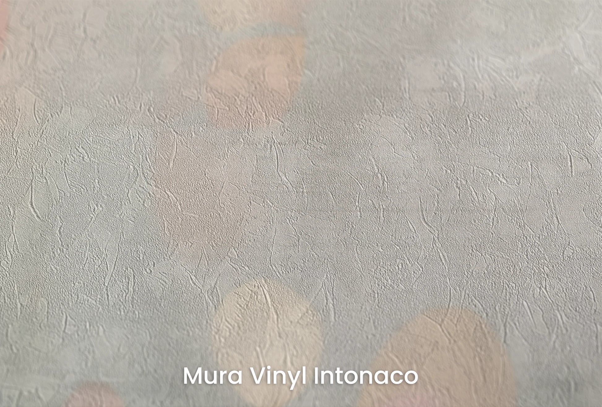 Zbliżenie na artystyczną fototapetę o nazwie Abstract Petals na podłożu Mura Vinyl Intonaco - struktura tartego tynku.